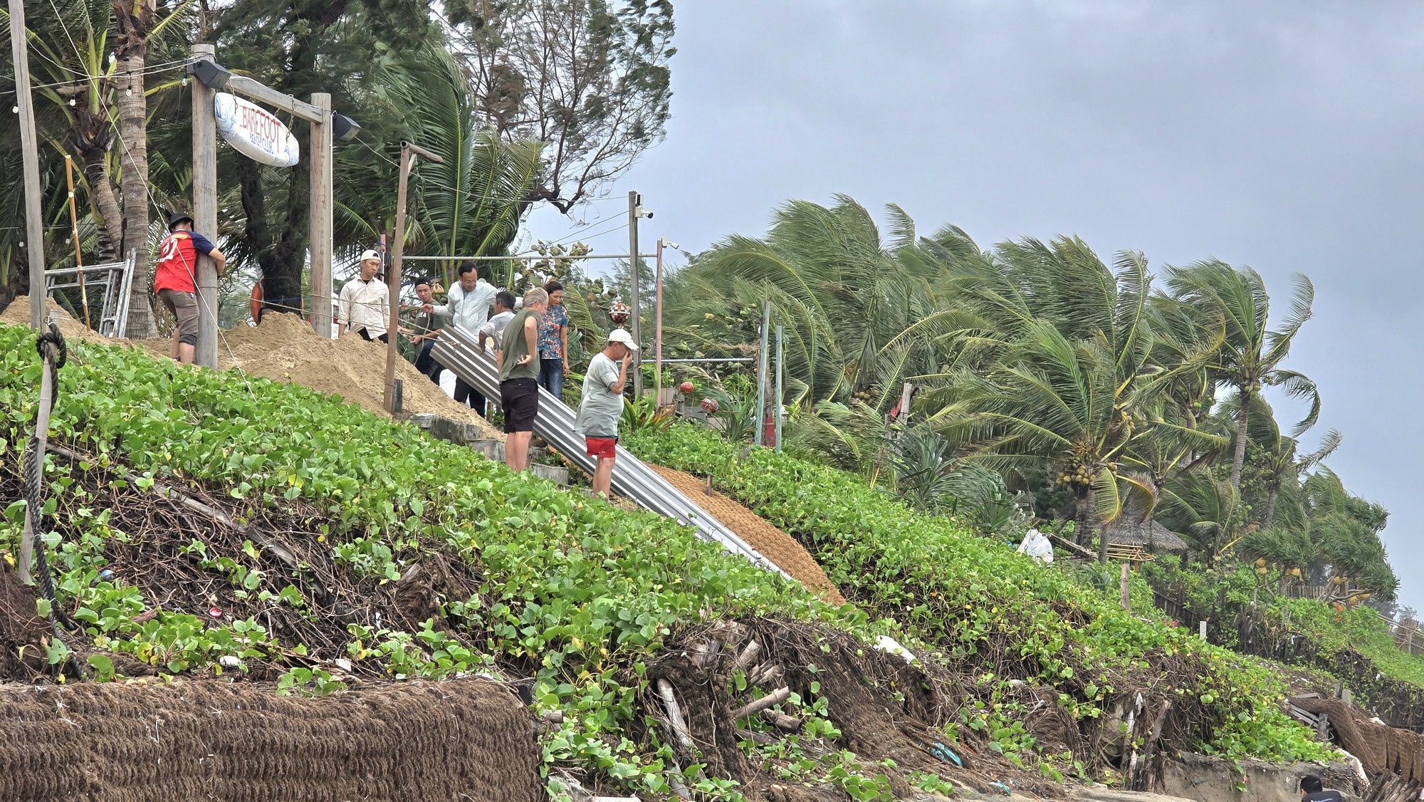 H&agrave;ng trăm m&eacute;t bờ biển Hội An sạt lở nghi&ecirc;m trọng- Ảnh 8.