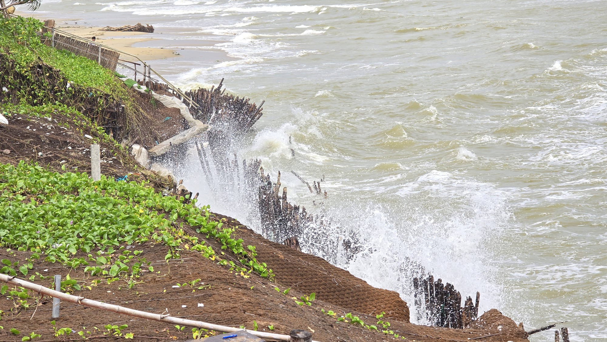 H&agrave;ng trăm m&eacute;t bờ biển Hội An sạt lở nghi&ecirc;m trọng- Ảnh 2.