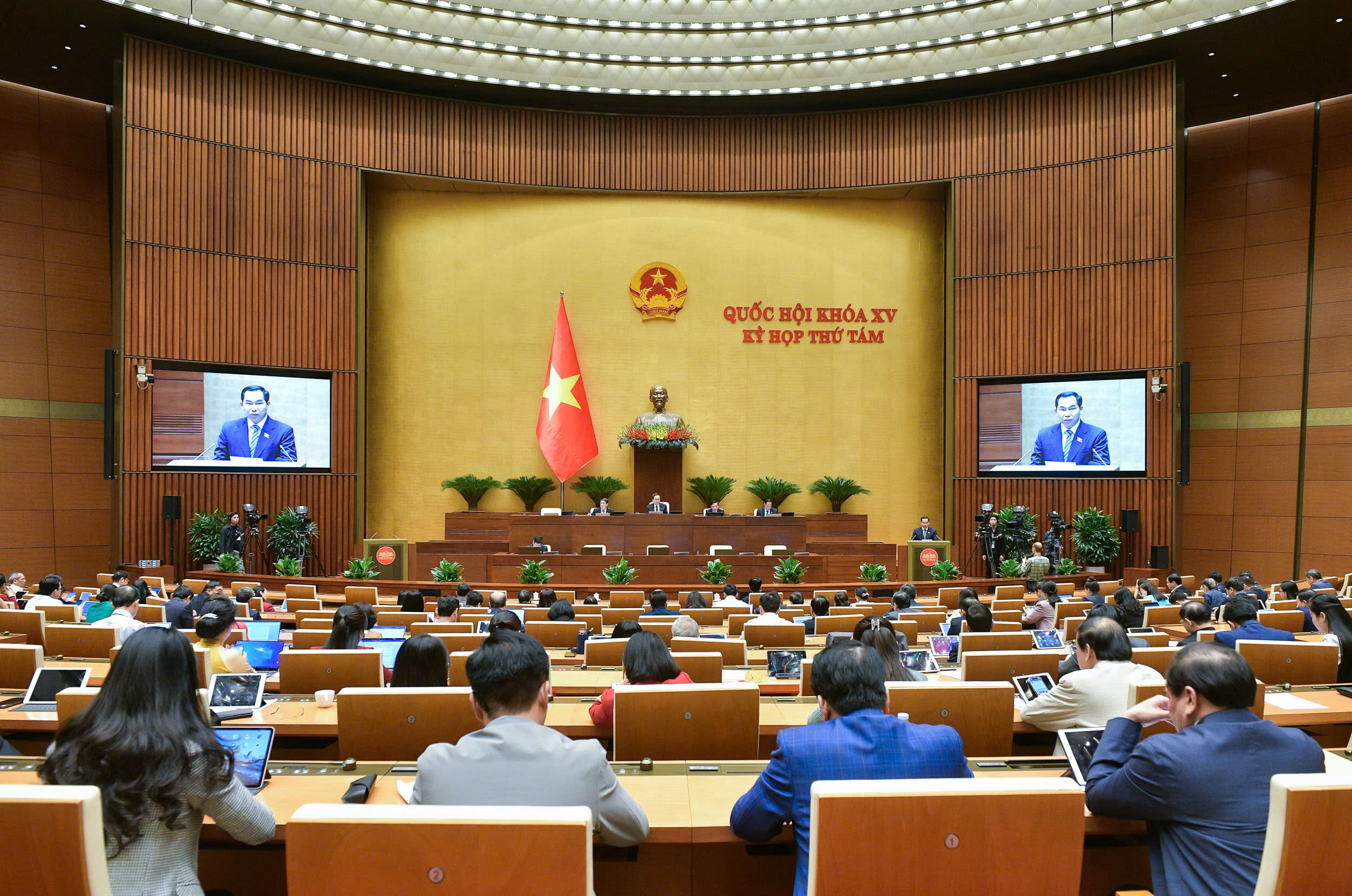 Quốc hội chốt áp thuế 5% với phân bón- Ảnh 2. Quốc hội chốt áp thuế 5% với phân bón- Ảnh 2.