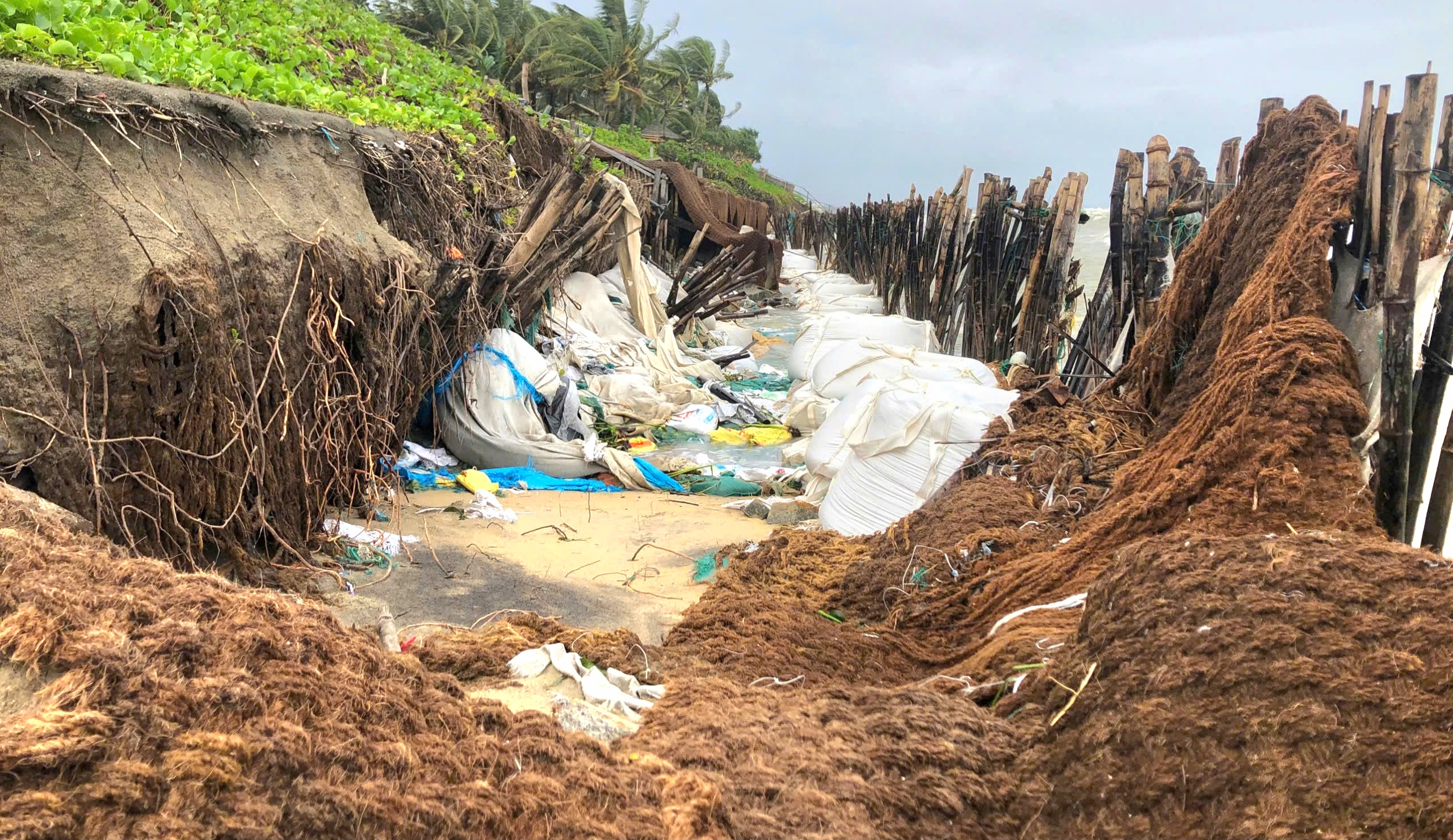 H&agrave;ng trăm m&eacute;t bờ biển Hội An sạt lở nghi&ecirc;m trọng- Ảnh 13.