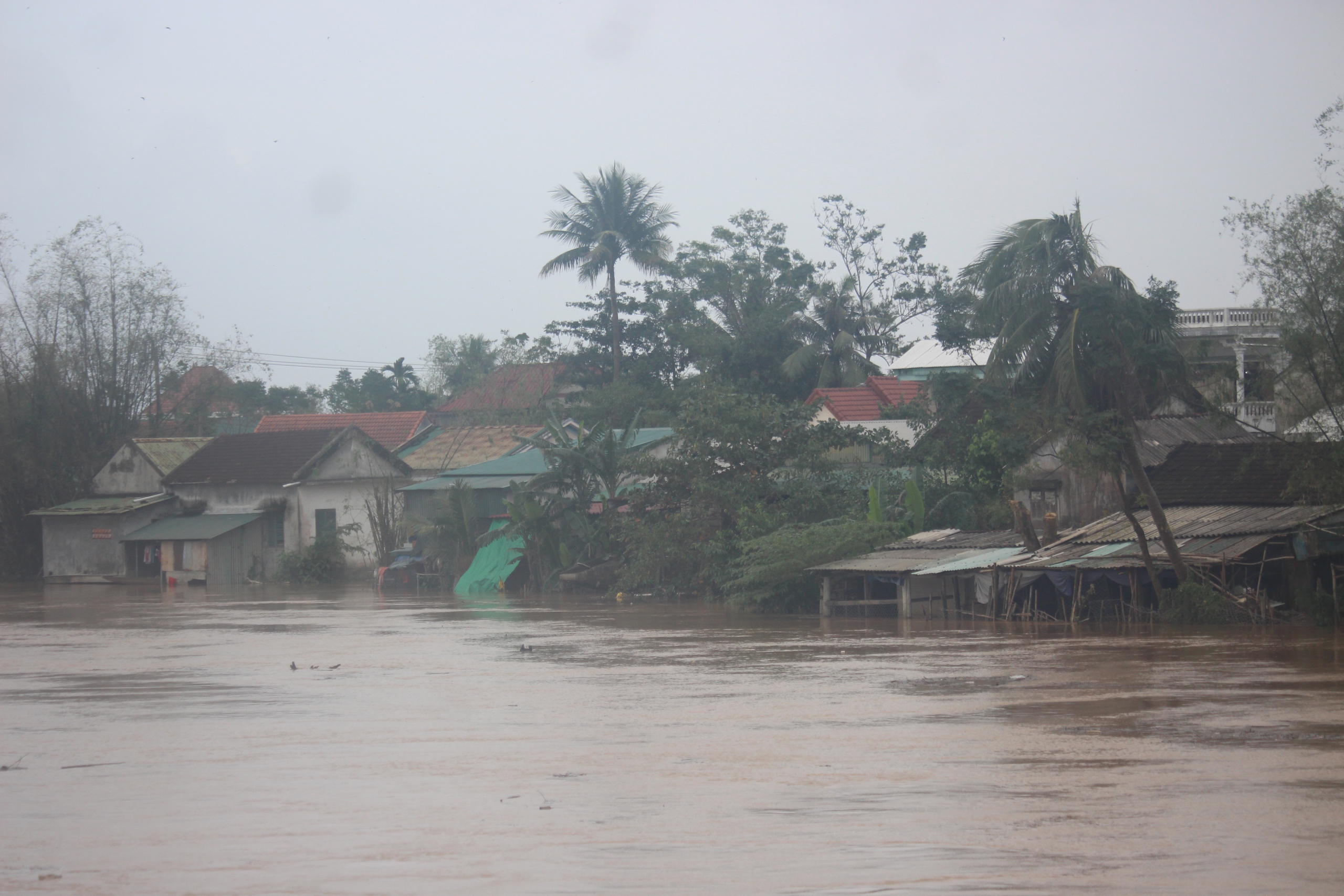 Thừa Thi&ecirc;n Huế: Nước lũ d&acirc;ng cao, QL49B bị ngập s&acirc;u nhiều đoạn- Ảnh 6.