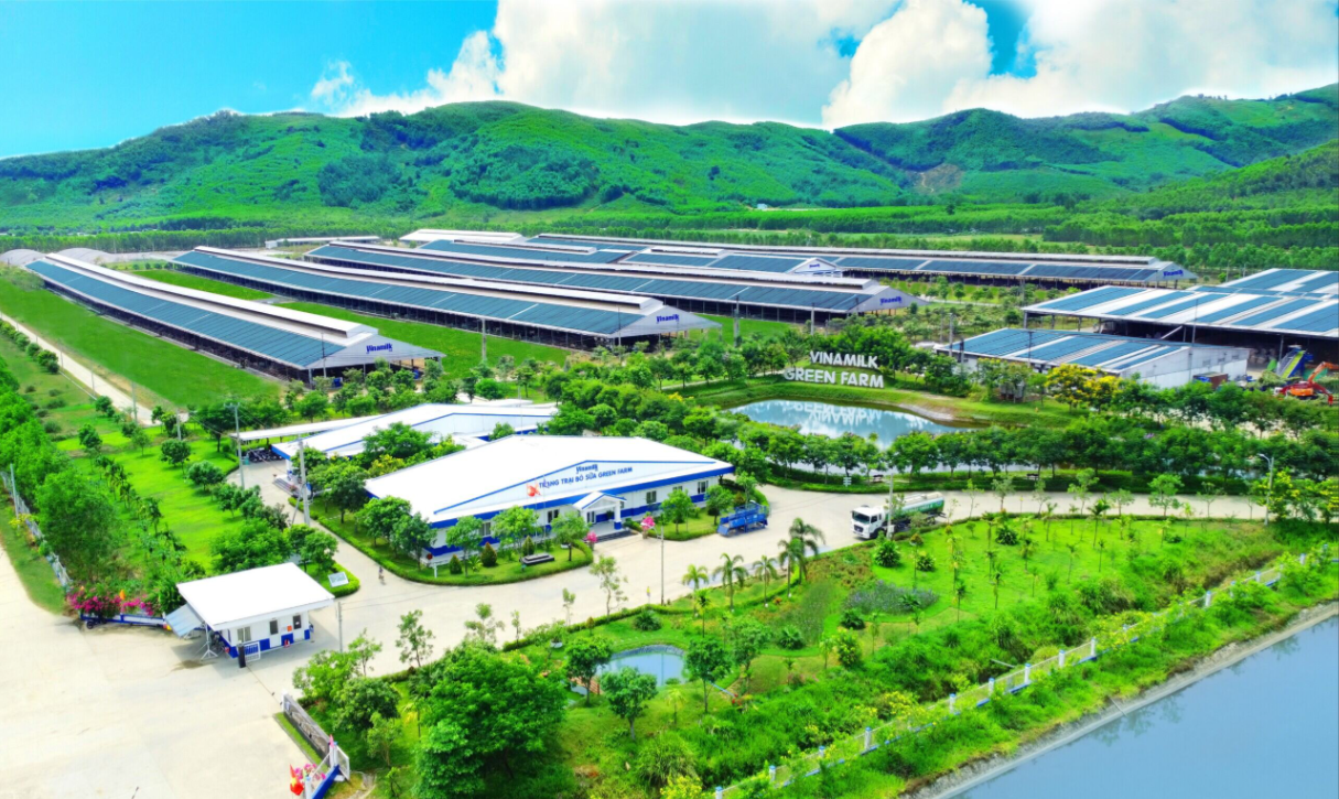 Hệ thống trang trại v&agrave; nh&agrave; m&aacute;y hiện đại, trải d&agrave;i khắp cả nước l&agrave; một lợi thế lớn m&agrave; kh&ocirc;ng phải doanh nghiệp sữa n&agrave;o cũng c&oacute; được.