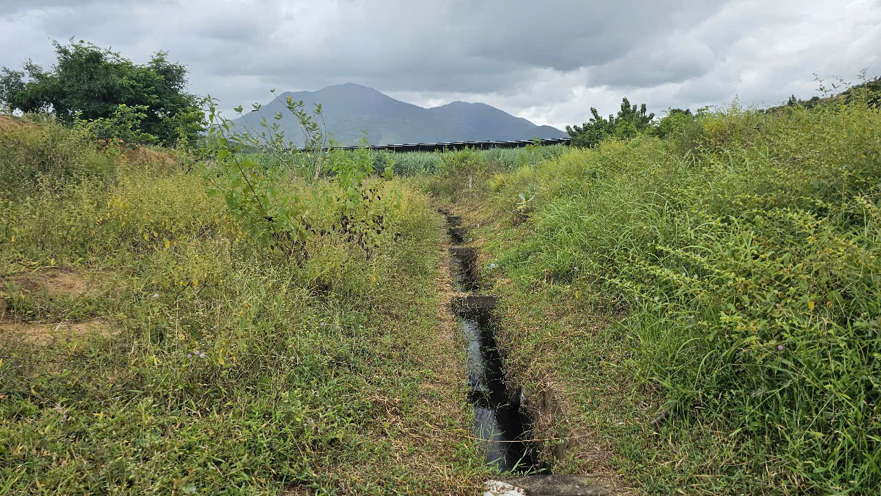 Bản đồ đất đai bất nhất, d&acirc;n k&ecirc;u cứu v&igrave; kh&ocirc;ng c&oacute; đường đi- Ảnh 3.