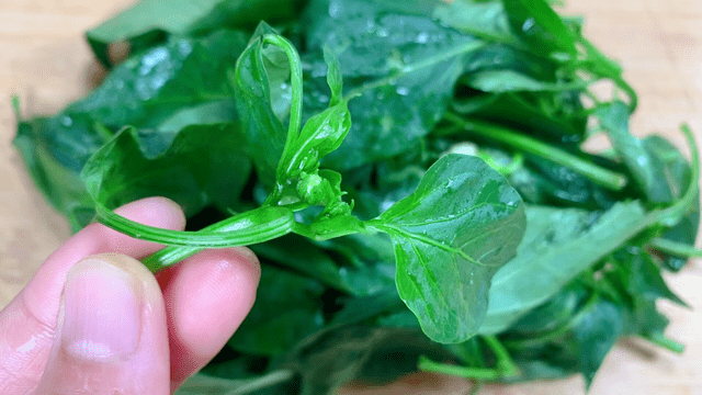 Đừng chỉ ăn quả, l&aacute; cũng l&agrave; loại rau thượng hạng v&iacute; như 