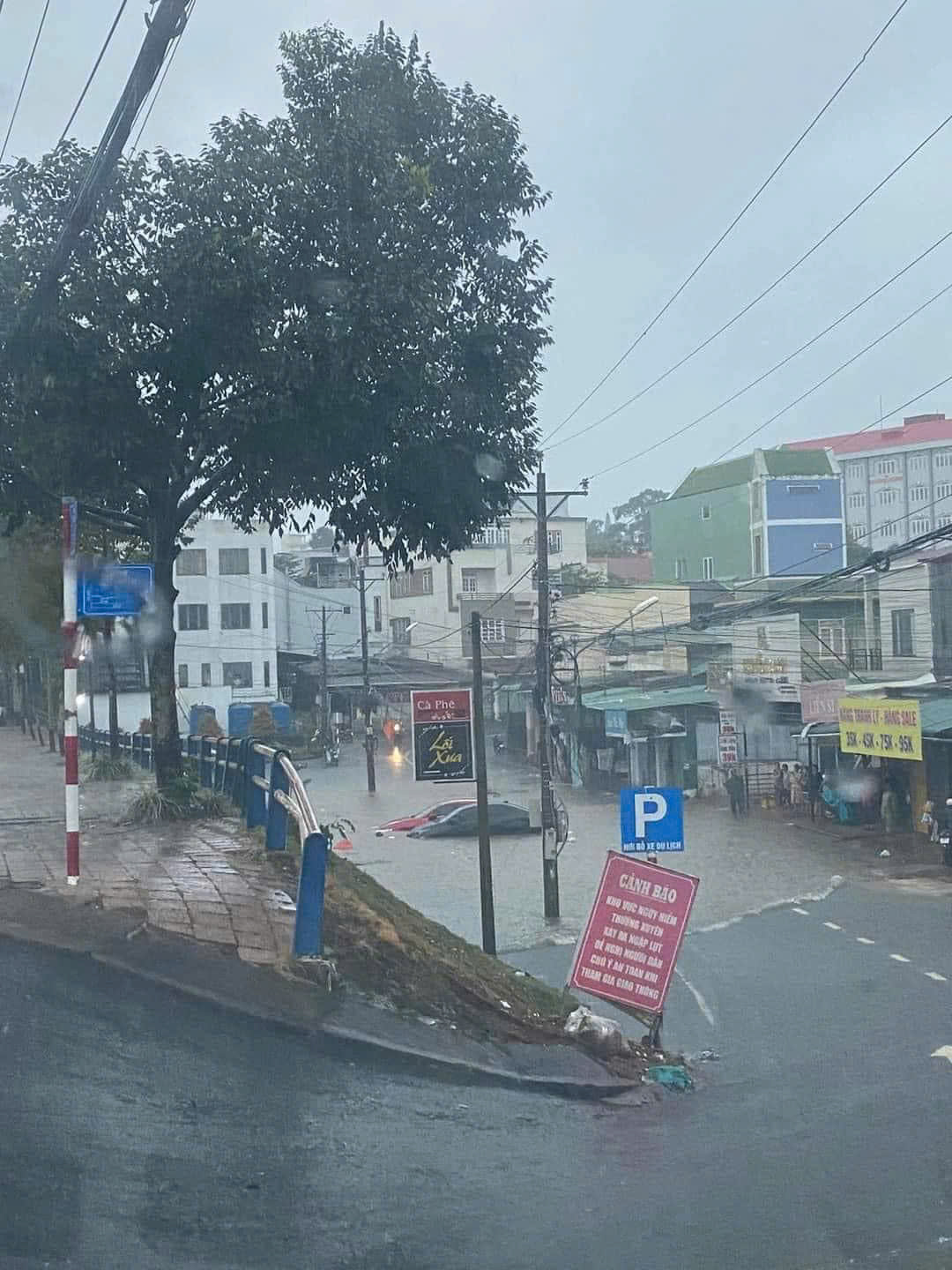 Mưa lớn k&egrave;m d&ocirc;ng lốc, nhiều tuyến đường L&acirc;m Đồng ngập nặng, c&acirc;y cối ng&atilde; đổ- Ảnh 7.