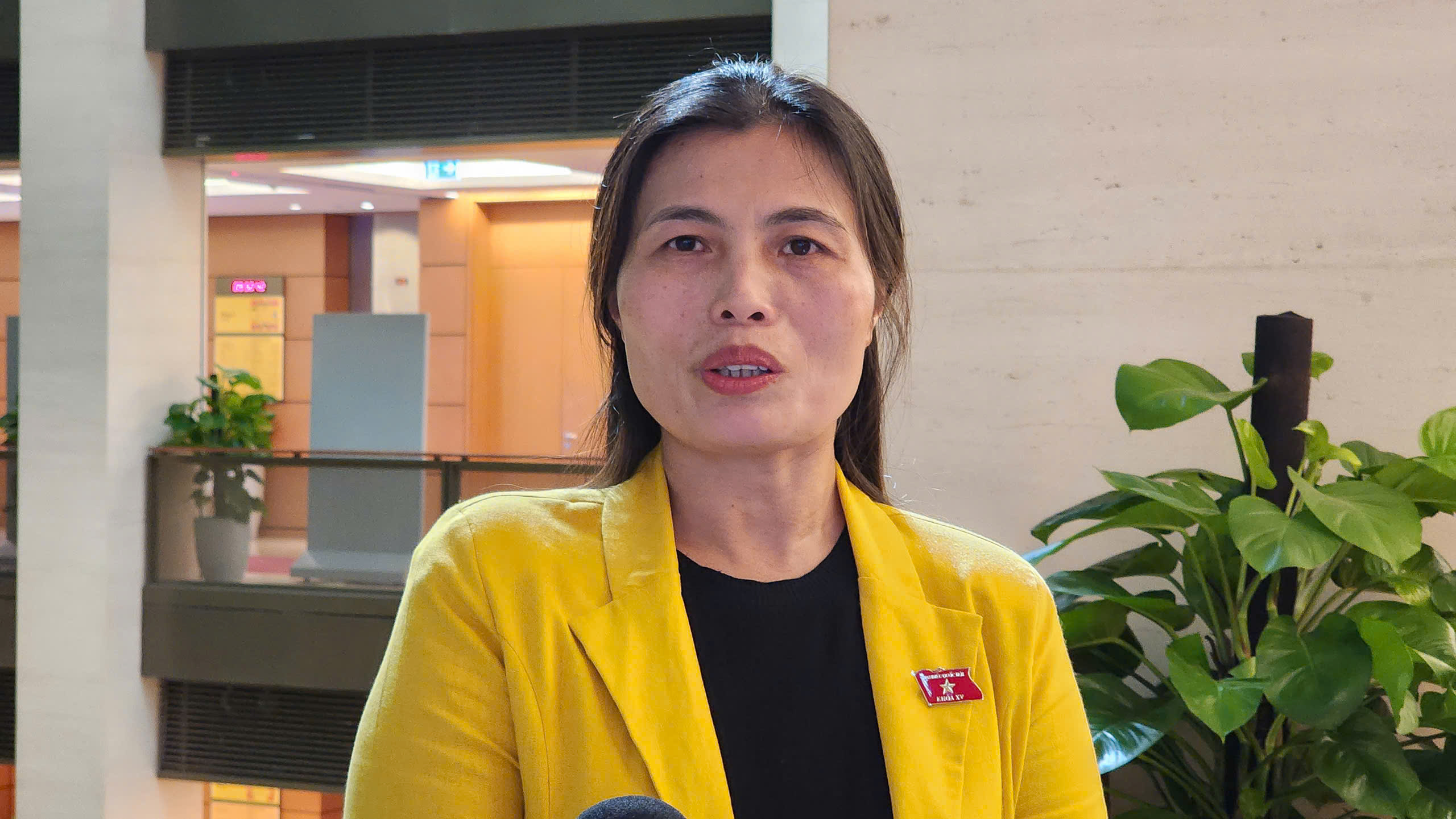 Th&ocirc;ng qua chủ trương đầu tư đường sắt tốc độ cao l&agrave; quyết định mang t&iacute;nh thời đại- Ảnh 2.