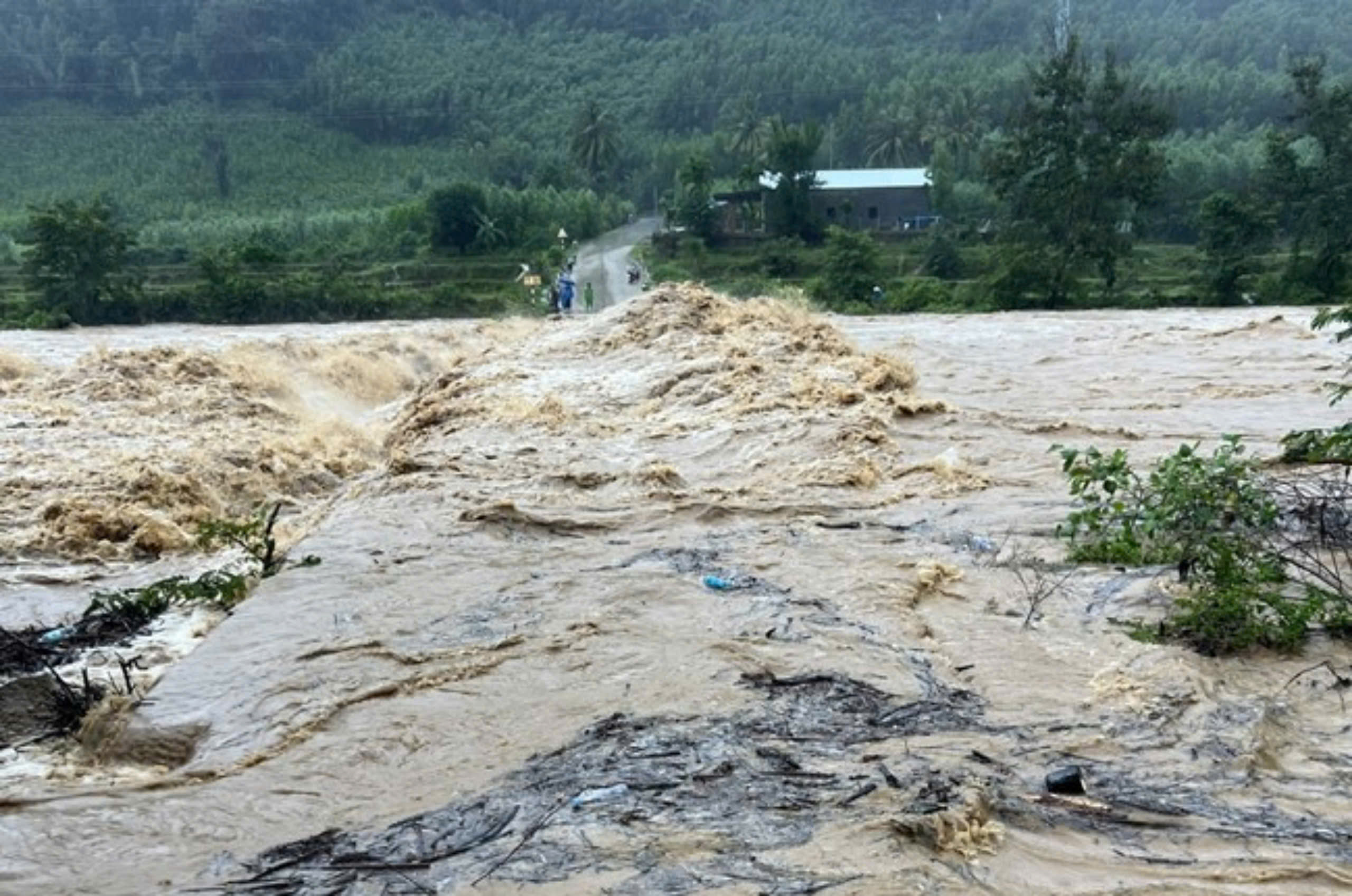 Mưa lớn g&acirc;y ngập, sạt lở ở miền n&uacute;i tỉnh B&igrave;nh Định, giao th&ocirc;ng chia cắt- Ảnh 2.