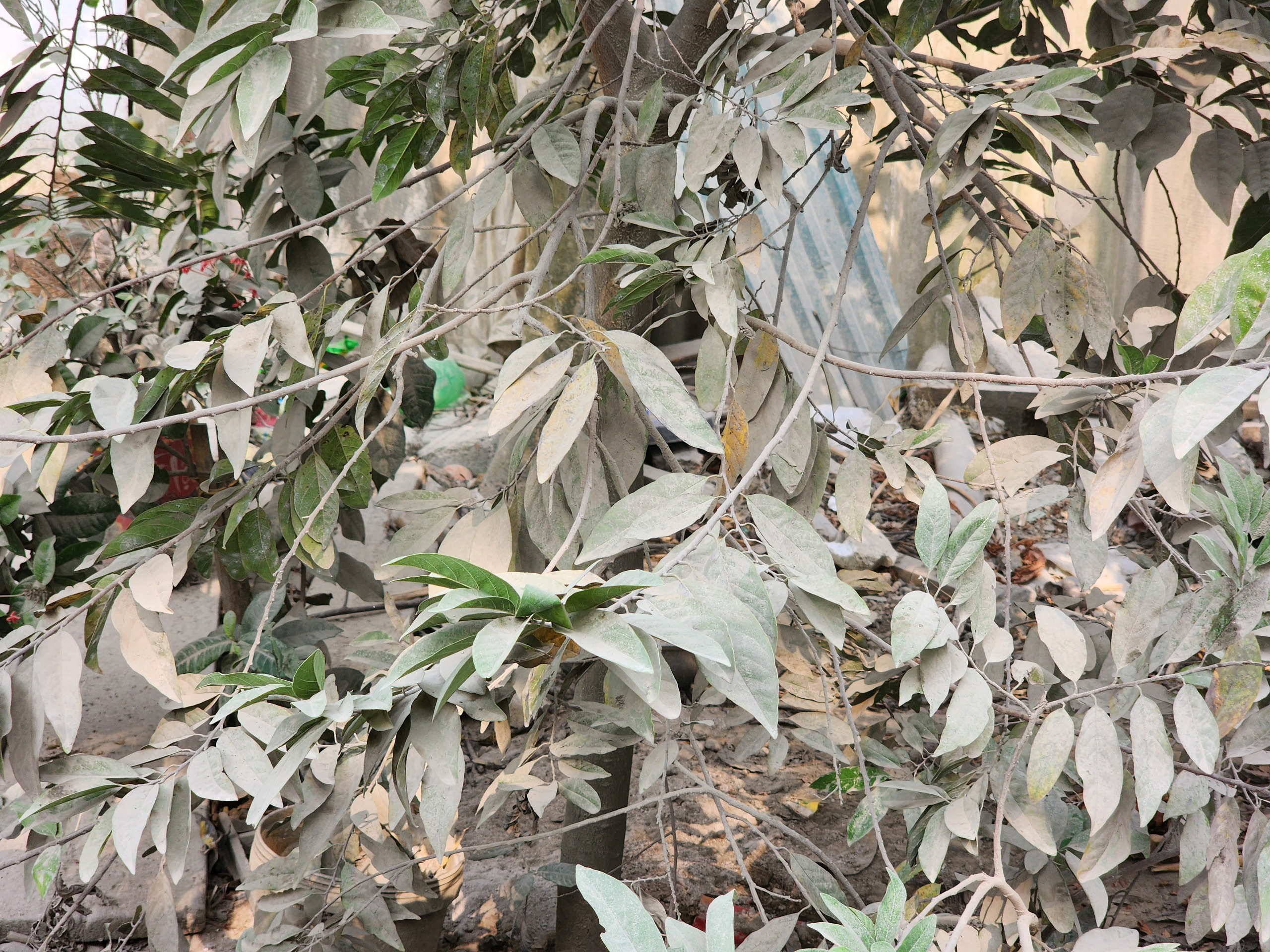 Tuyên Quang: Chất thải xi măng phủ kín bãi bồi ven sông, người dân lo sợ ô nhiễm- Ảnh 20. Tuyên Quang: Chất thải xi măng phủ kín bãi bồi ven sông, người dân lo sợ ô nhiễm- Ảnh 20.