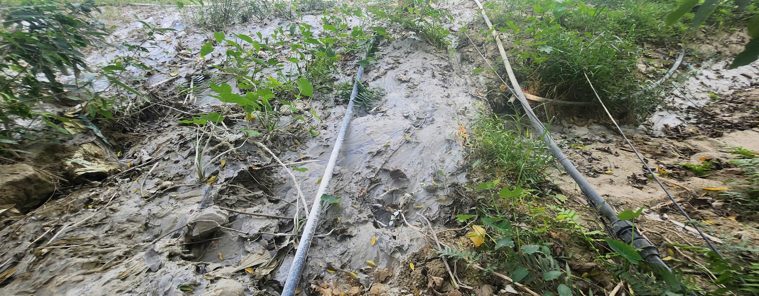 Tuyên Quang: Chất thải xi măng phủ kín bãi bồi ven sông, người dân lo sợ ô nhiễm- Ảnh 4. Tuyên Quang: Chất thải xi măng phủ kín bãi bồi ven sông, người dân lo sợ ô nhiễm- Ảnh 4.