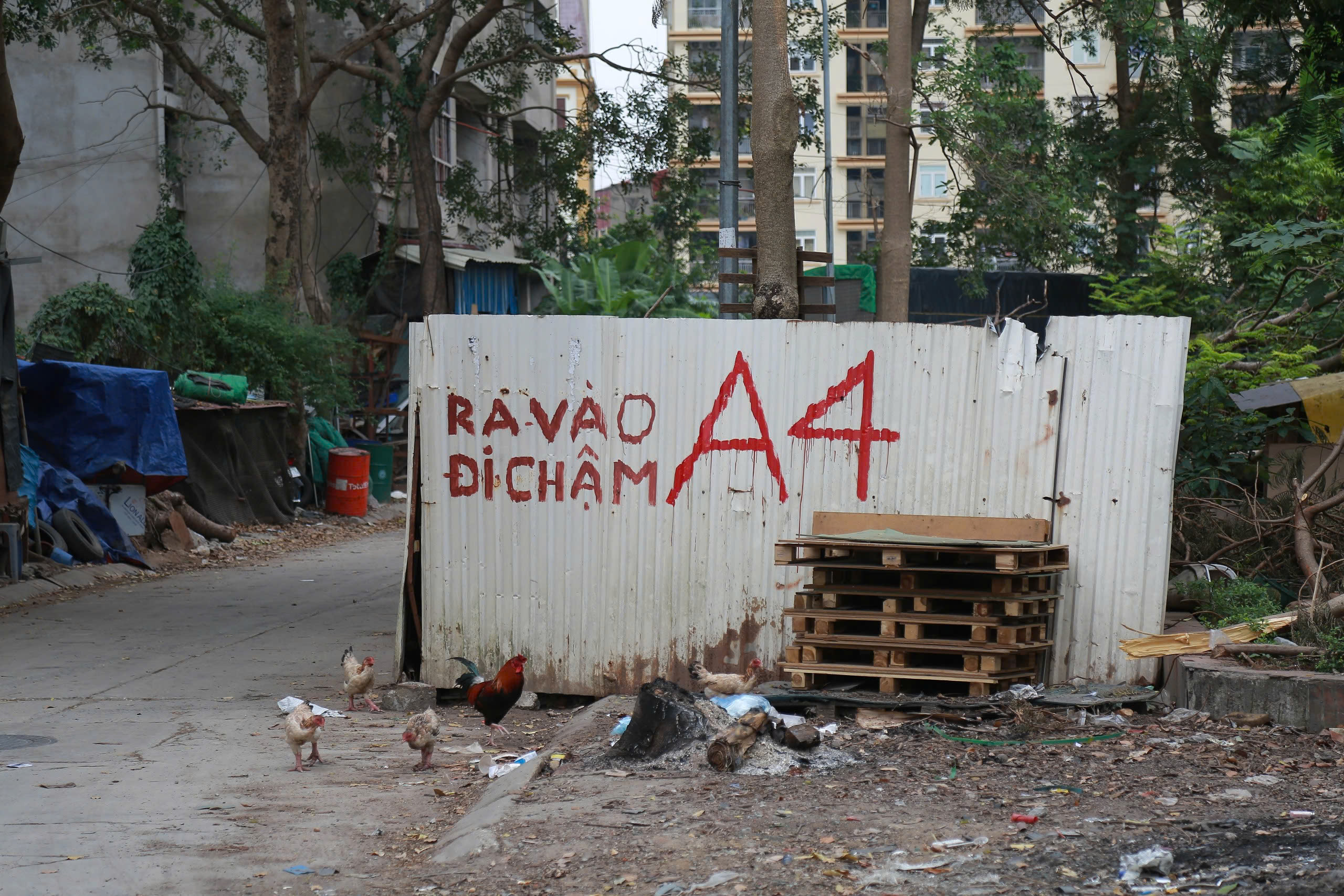 Hiện trạng khu nhà ở sinh viên nghìn tỷ đồng được cải tạo làm nhà ở xã hội- Ảnh 7. Hiện trạng khu nhà ở sinh viên nghìn tỷ đồng được cải tạo làm nhà ở xã hội- Ảnh 7.