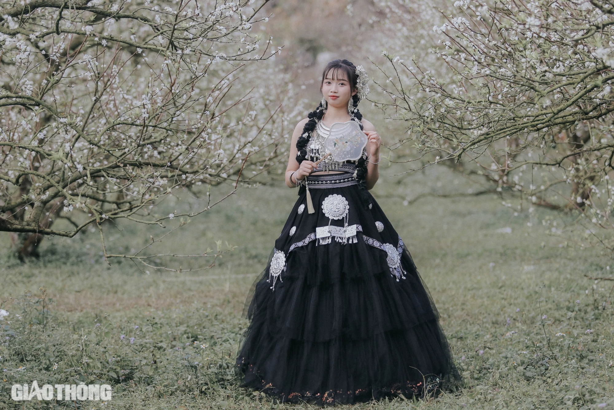 Đẹp nao lòng hoa mận nở sớm ở cao nguyên Mộc Châu- Ảnh 4. Đẹp nao lòng hoa mận nở sớm ở cao nguyên Mộc Châu- Ảnh 4.