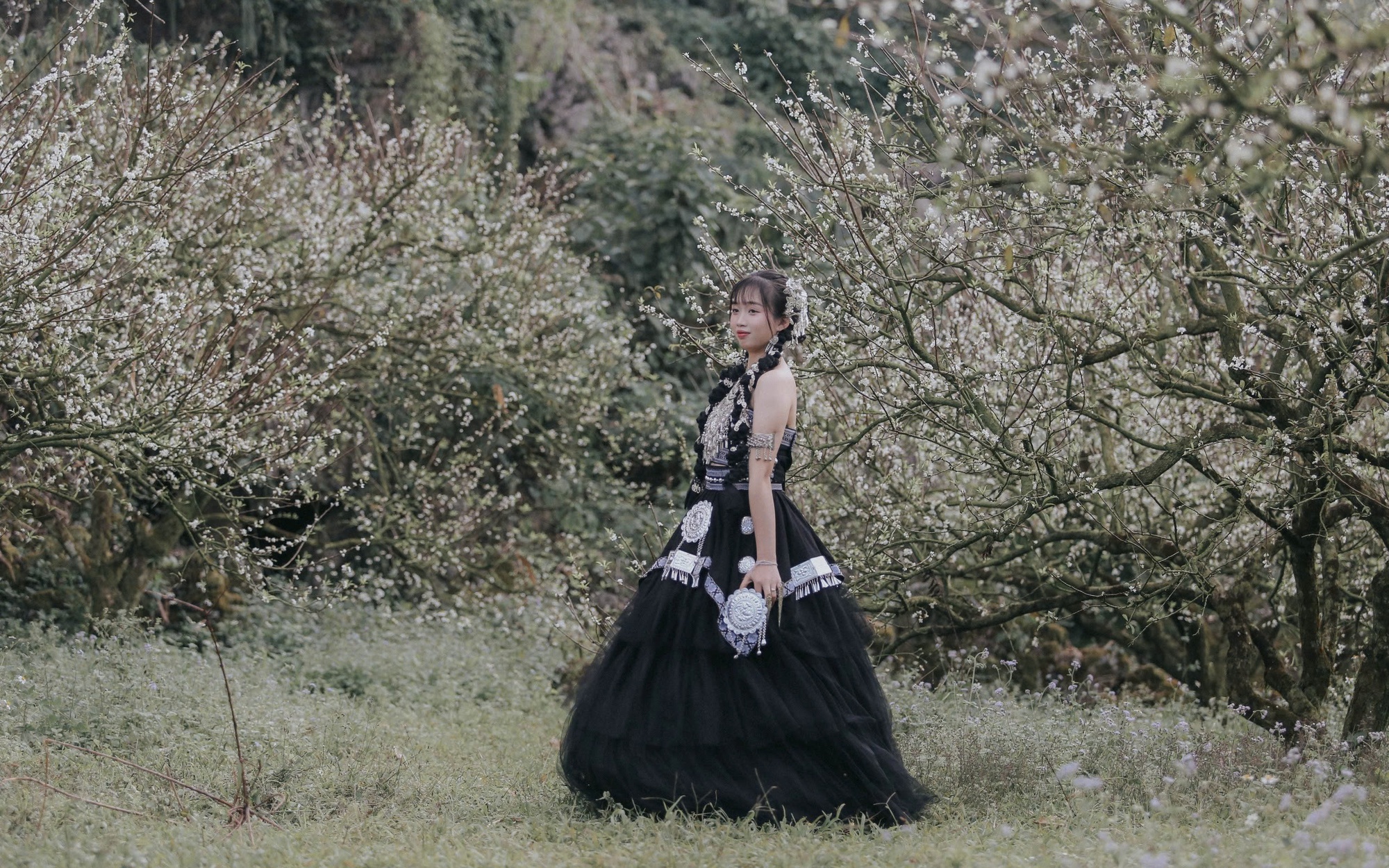 Đẹp nao l&ograve;ng hoa mận nở sớm ở cao nguy&ecirc;n Mộc Ch&acirc;u