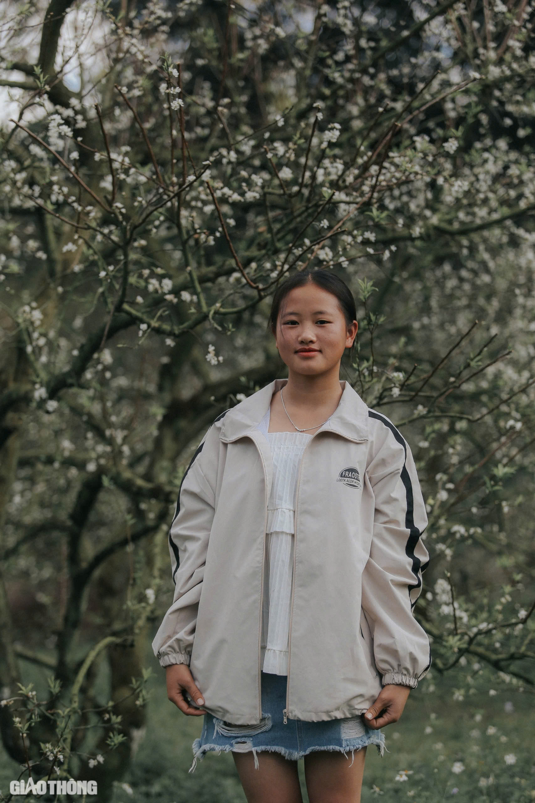 Đẹp nao lòng hoa mận nở sớm ở cao nguyên Mộc Châu- Ảnh 11. Đẹp nao lòng hoa mận nở sớm ở cao nguyên Mộc Châu- Ảnh 11.