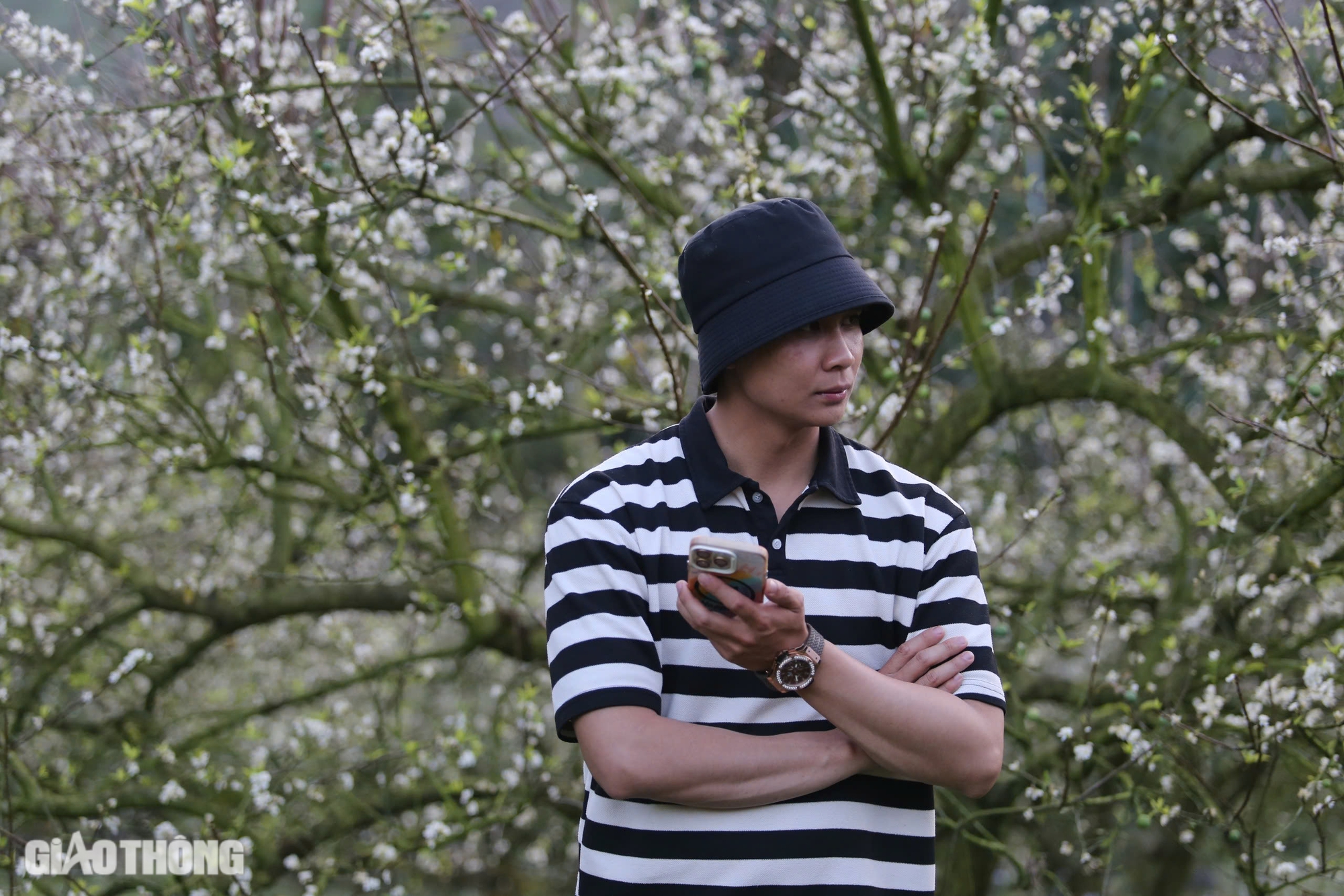 Đẹp nao lòng hoa mận nở sớm ở cao nguyên Mộc Châu- Ảnh 14. Đẹp nao lòng hoa mận nở sớm ở cao nguyên Mộc Châu- Ảnh 14.