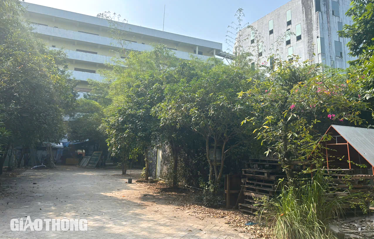 Khi n&agrave;o dự &aacute;n trường học hơn 40 ngh&igrave;n m2 ở Thanh H&oacute;a bị cưỡng chế?- Ảnh 13.