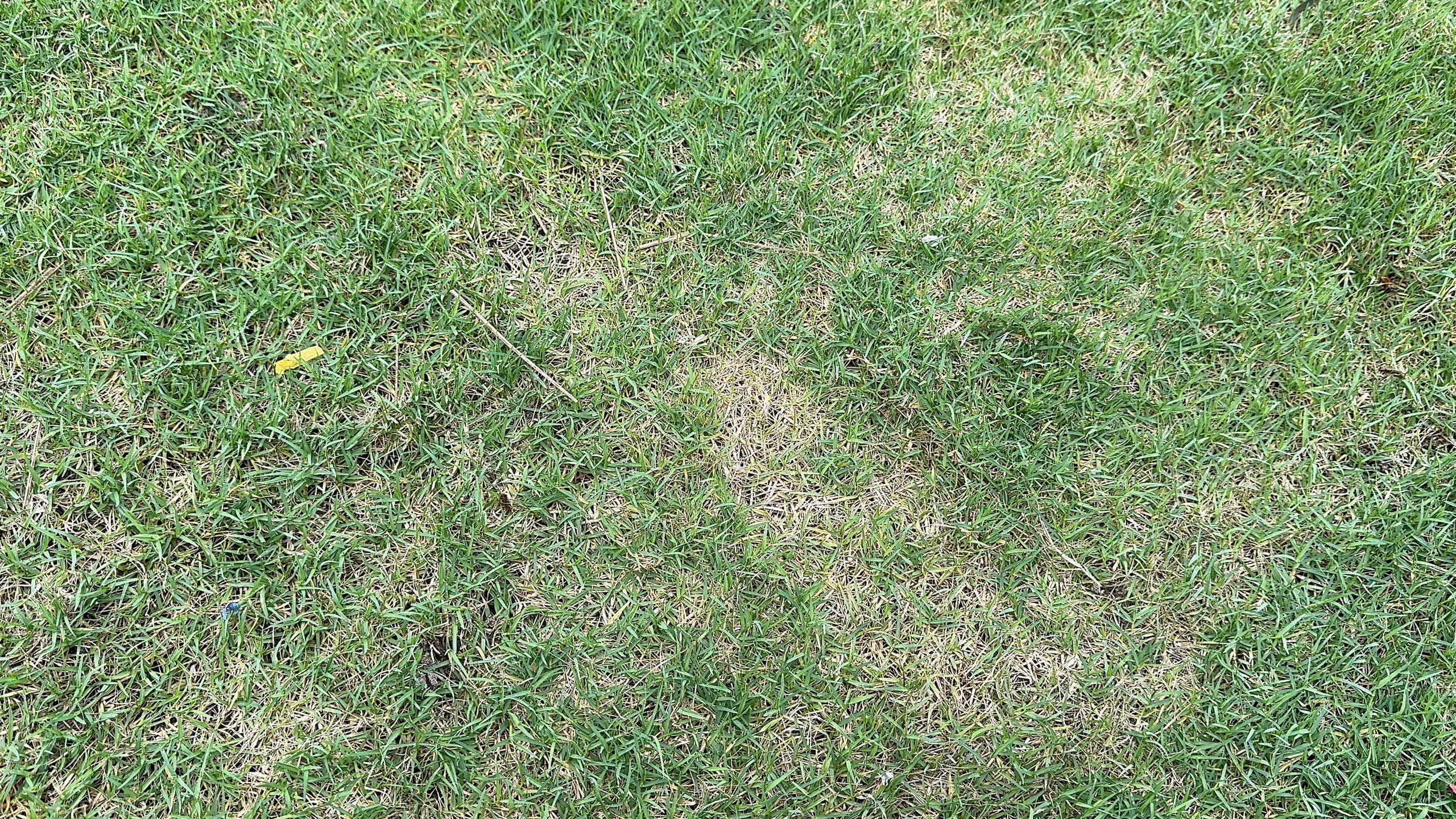 S&acirc;n Mỹ Đ&igrave;nh c&oacute; đủ điều kiện tổ chức c&aacute;c trận đấu của tuyển Việt Nam tại AFF Cup?- Ảnh 4.