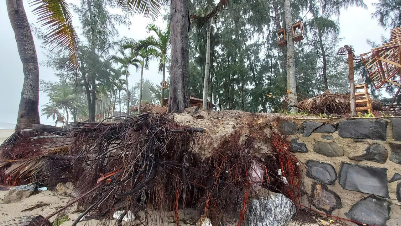 Quảng Ngãi: Sạt lở bờ biển uy hiếp đường giao thông, nhà máy lọc dầu- Ảnh 3. Quảng Ngãi: Sạt lở bờ biển uy hiếp đường giao thông, nhà máy lọc dầu- Ảnh 3.