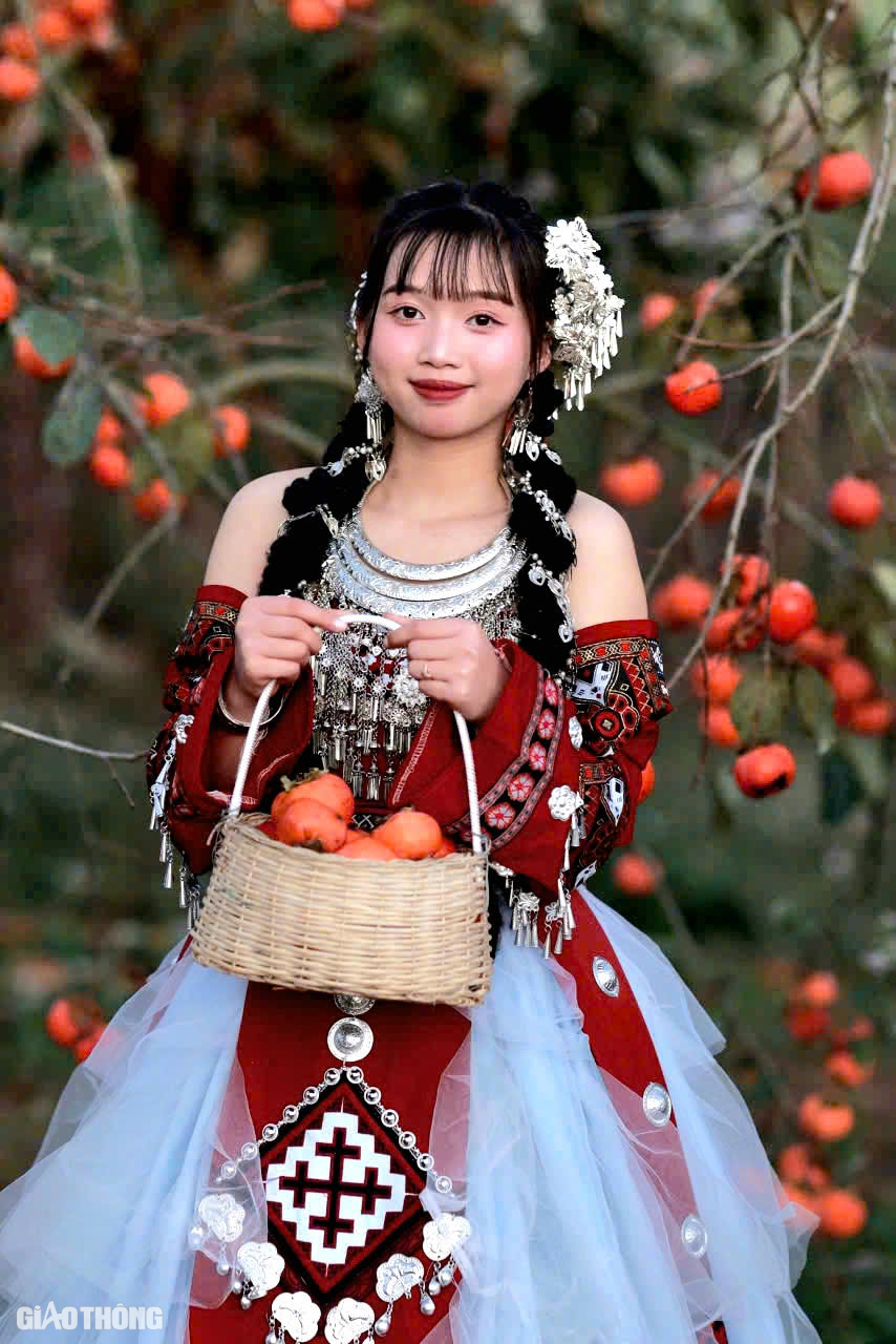 M&ecirc; mẩn vườn hồng ch&iacute;n mọng ở Mộc Ch&acirc;u, du kh&aacute;ch đổ x&ocirc; săn ảnh đẹp- Ảnh 11.