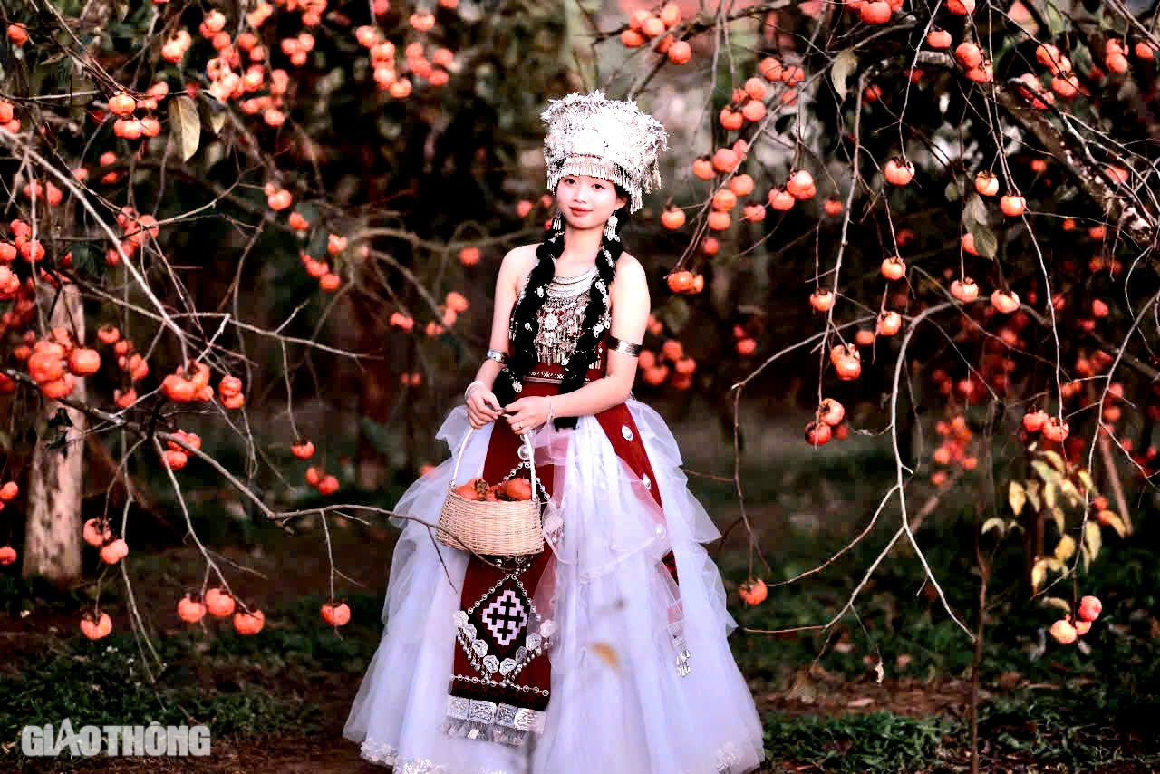 M&ecirc; mẩn vườn hồng ch&iacute;n mọng ở Mộc Ch&acirc;u, du kh&aacute;ch đổ x&ocirc; săn ảnh đẹp- Ảnh 13.