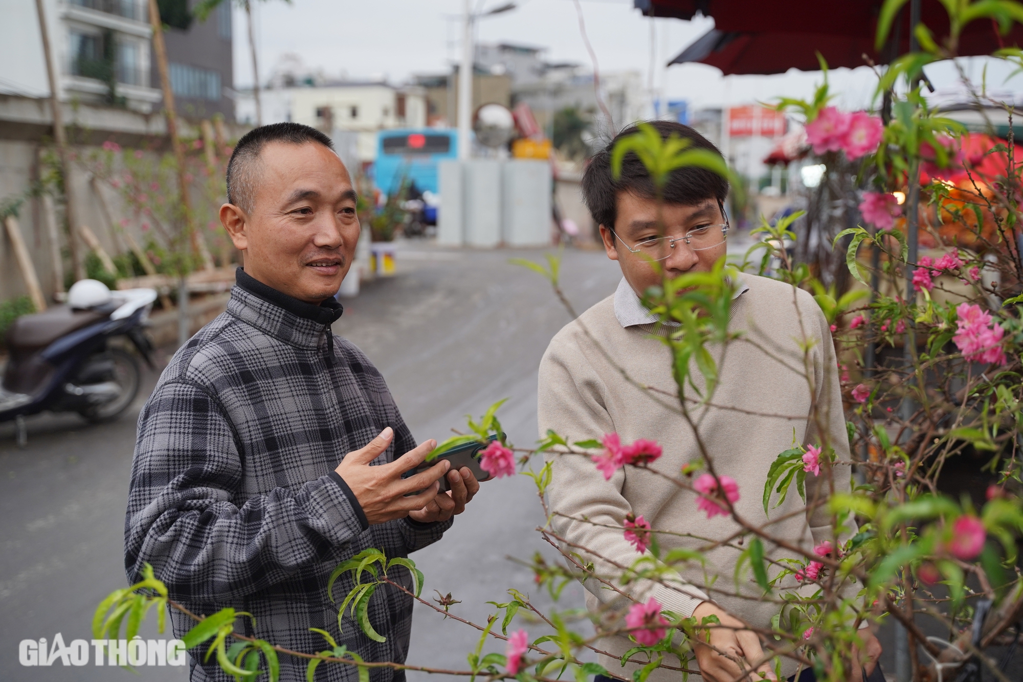 Người d&acirc;n Thủ đ&ocirc; chi tiền triệu mua đ&agrave;o nở sớm- Ảnh 4.