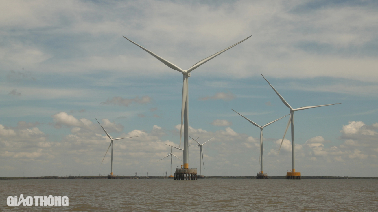 C&agrave; Mau phấn đấu đến năm 2040 xuất khẩu điện từ năng lượng t&aacute;i tạo 5.000MW- Ảnh 1.