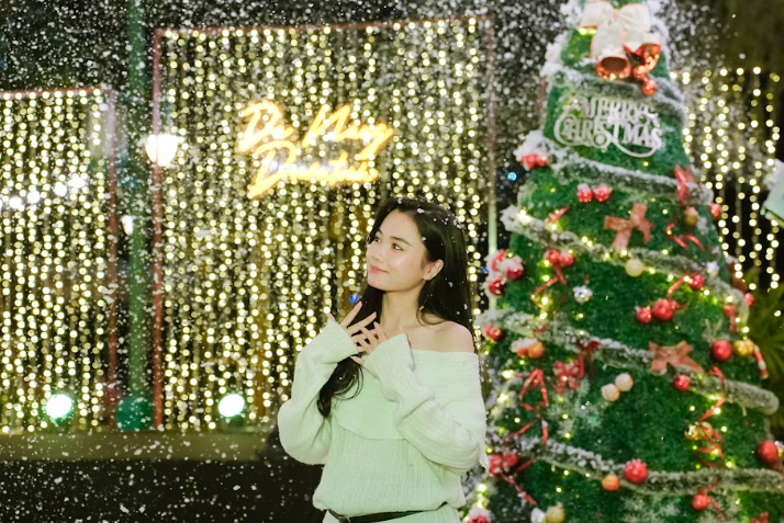 Đi đâu để đón Giáng sinh lung linh như trời Âu?- Ảnh 2. Đi đâu để đón Giáng sinh lung linh như trời Âu?- Ảnh 2.