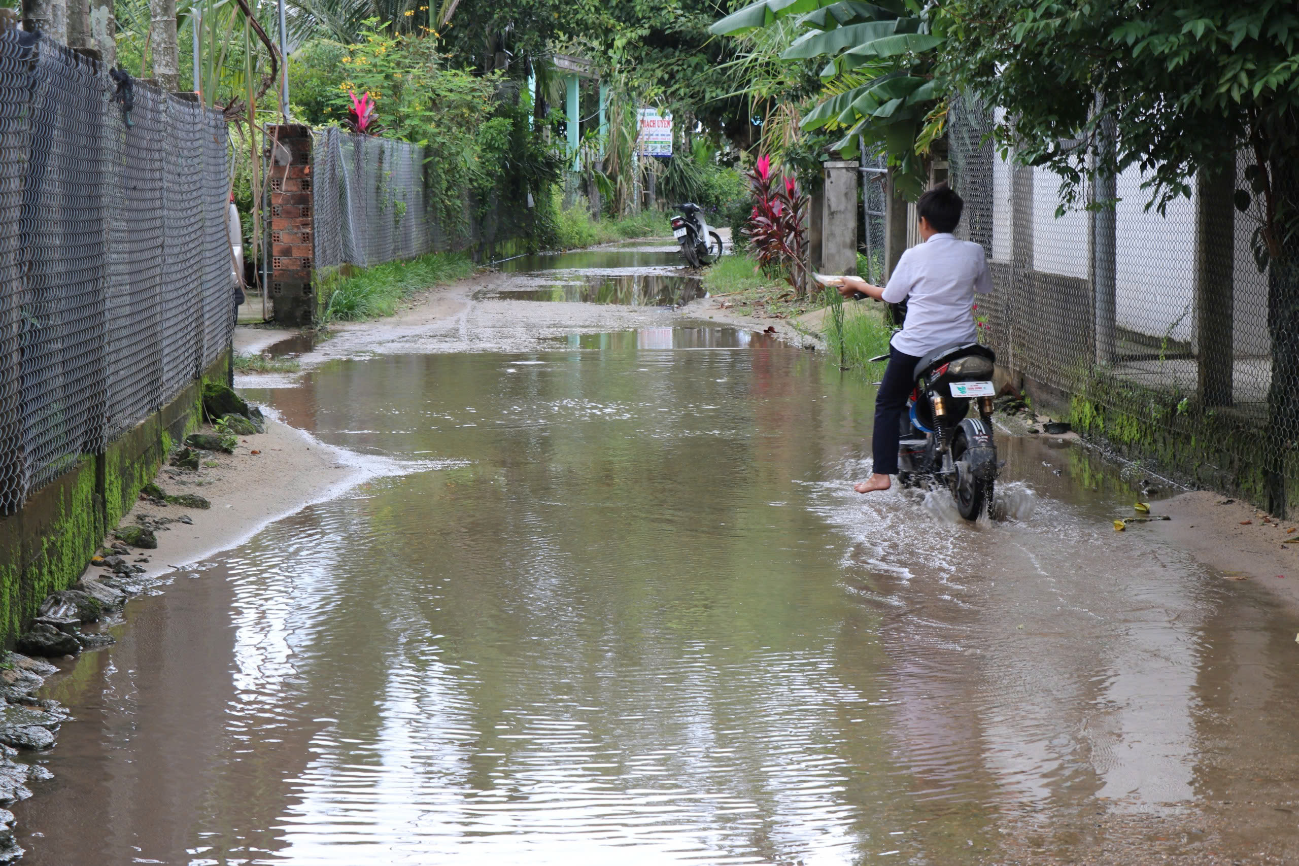 Quảng Ng&atilde;i: Bỏ quy hoạch treo cả thập kỷ, người d&acirc;n thở ph&agrave;o- Ảnh 3.