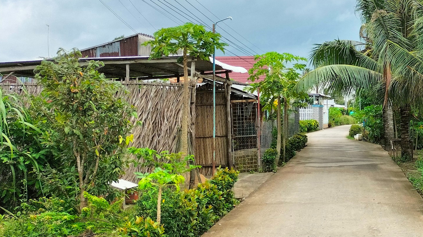 Đến 8/2025, C&agrave; Mau ho&agrave;n th&agrave;nh x&acirc;y mới, sửa chữa 4.000 nh&agrave; tạm, nh&agrave; dột n&aacute;t- Ảnh 1.