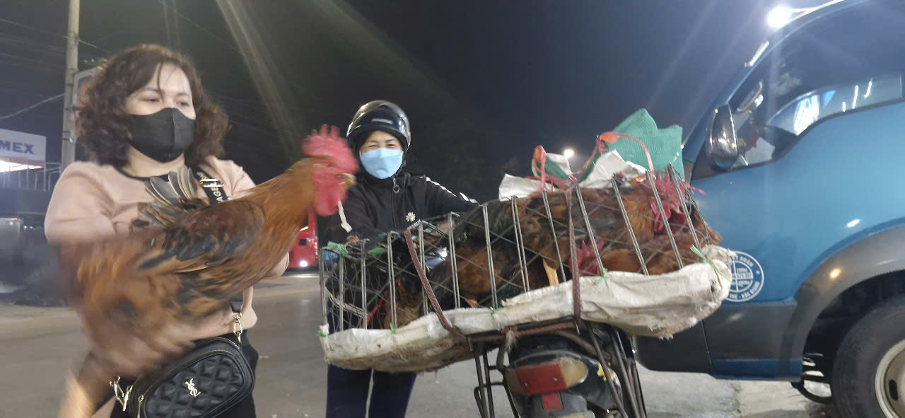 Chưa đến Tết, chợ g&agrave; lớn nhất Bắc Giang giao dịch xuy&ecirc;n đ&ecirc;m- Ảnh 7.