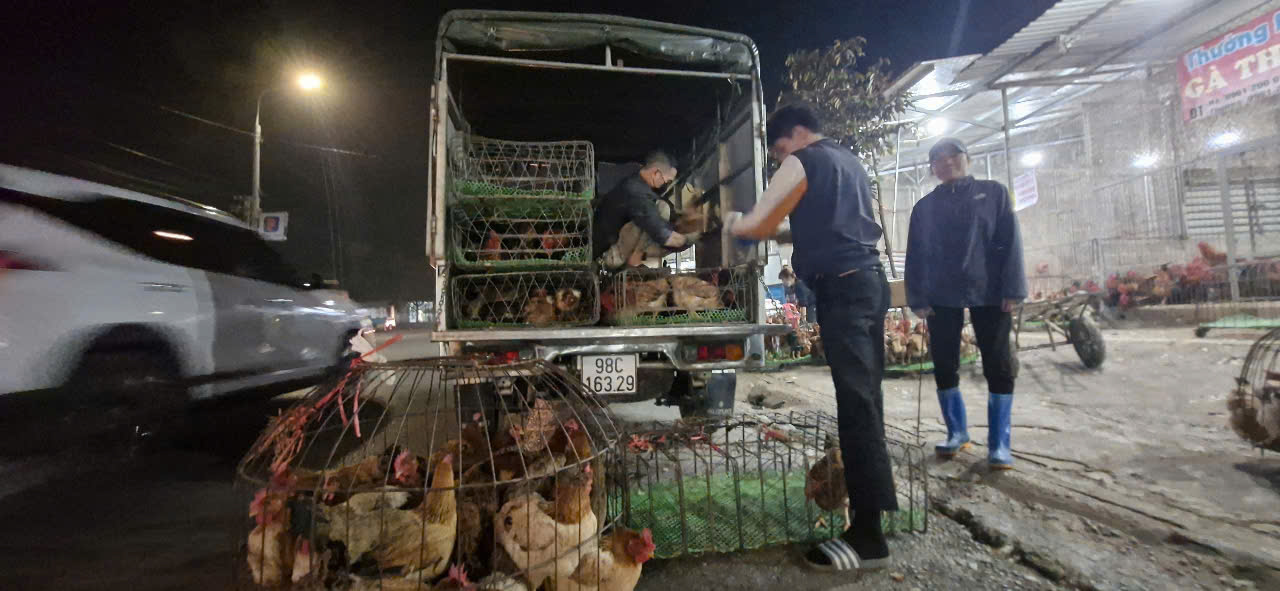 Chưa đến Tết, chợ g&agrave; lớn nhất Bắc Giang giao dịch xuy&ecirc;n đ&ecirc;m- Ảnh 6.