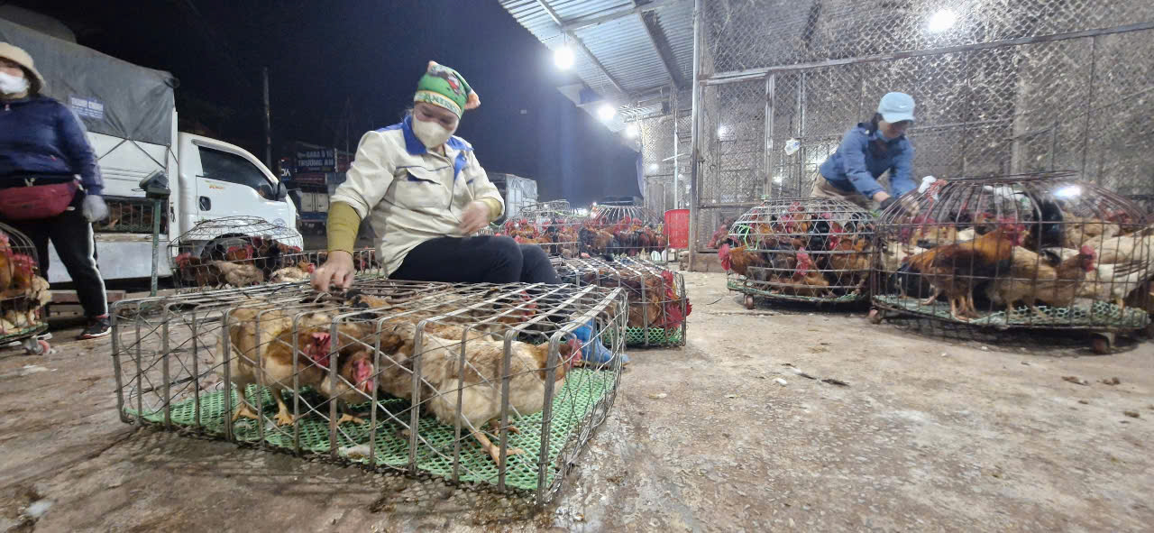 Chưa đến Tết, chợ g&agrave; lớn nhất Bắc Giang giao dịch xuy&ecirc;n đ&ecirc;m- Ảnh 5.