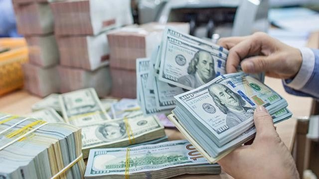 Nữ gi&aacute;m đốc tổ chức vận chuyển tr&aacute;i ph&eacute;p gần 4.000 tỷ ra nước ngo&agrave;i- Ảnh 1.
