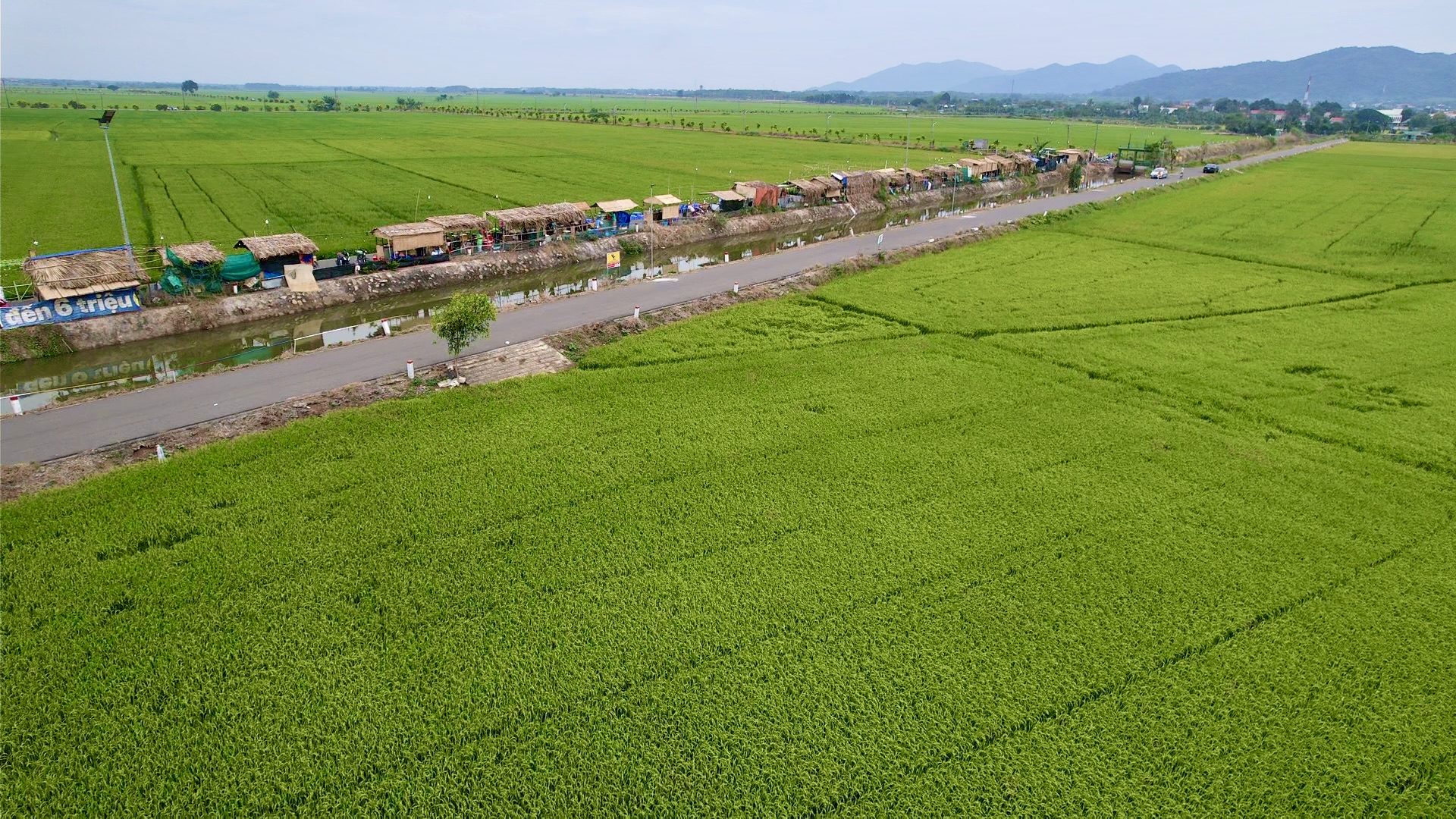 Vùng Đông Nam Bộ thu trên 215.100 tỷ đồng từ du lịch- Ảnh 2. Vùng Đông Nam Bộ thu trên 215.100 tỷ đồng từ du lịch- Ảnh 2.