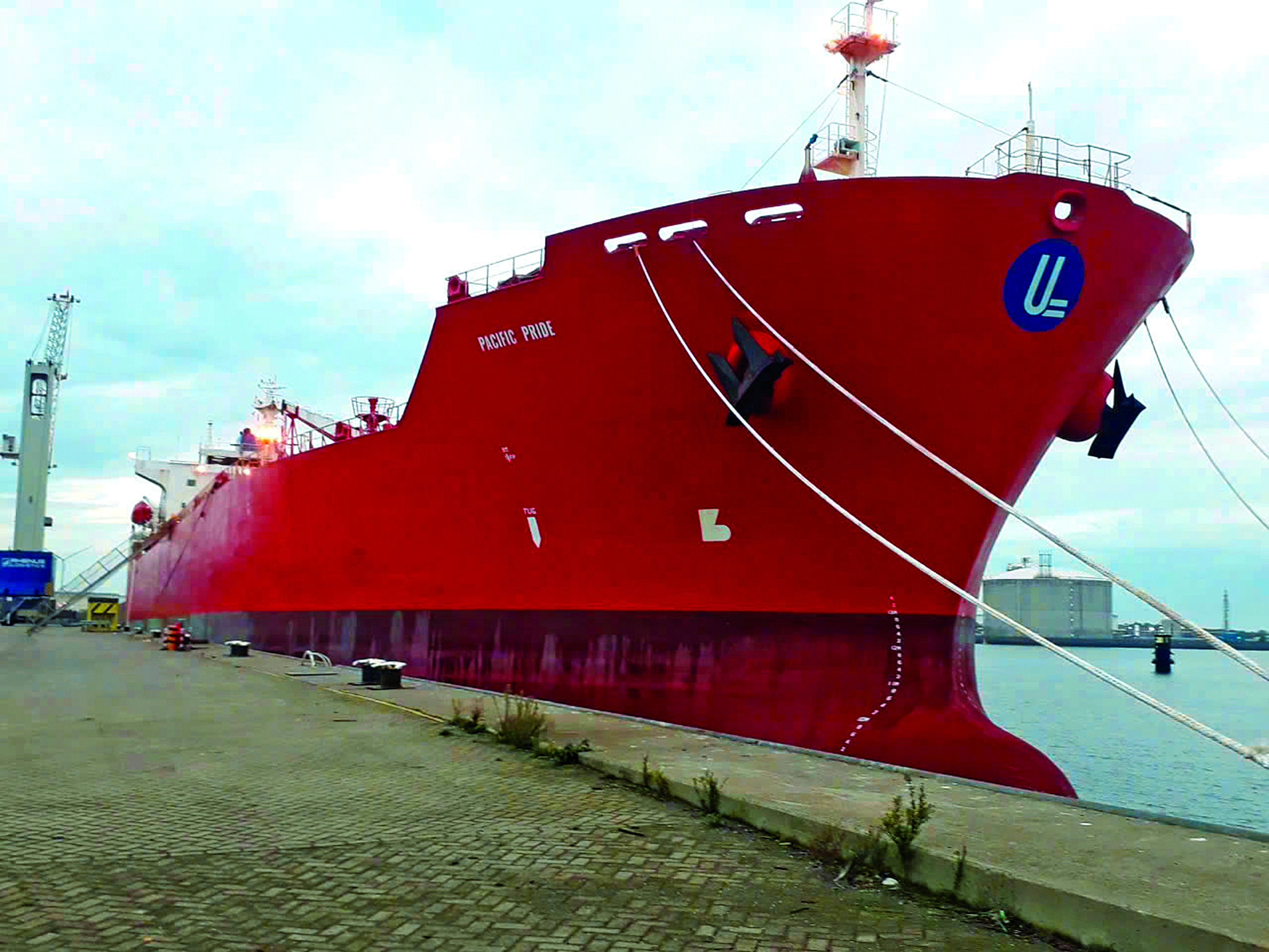 Nỗ lực v&igrave; h&agrave;nh tr&igrave;nh &ldquo;Vươn ra biển lớn"- Ảnh 1.