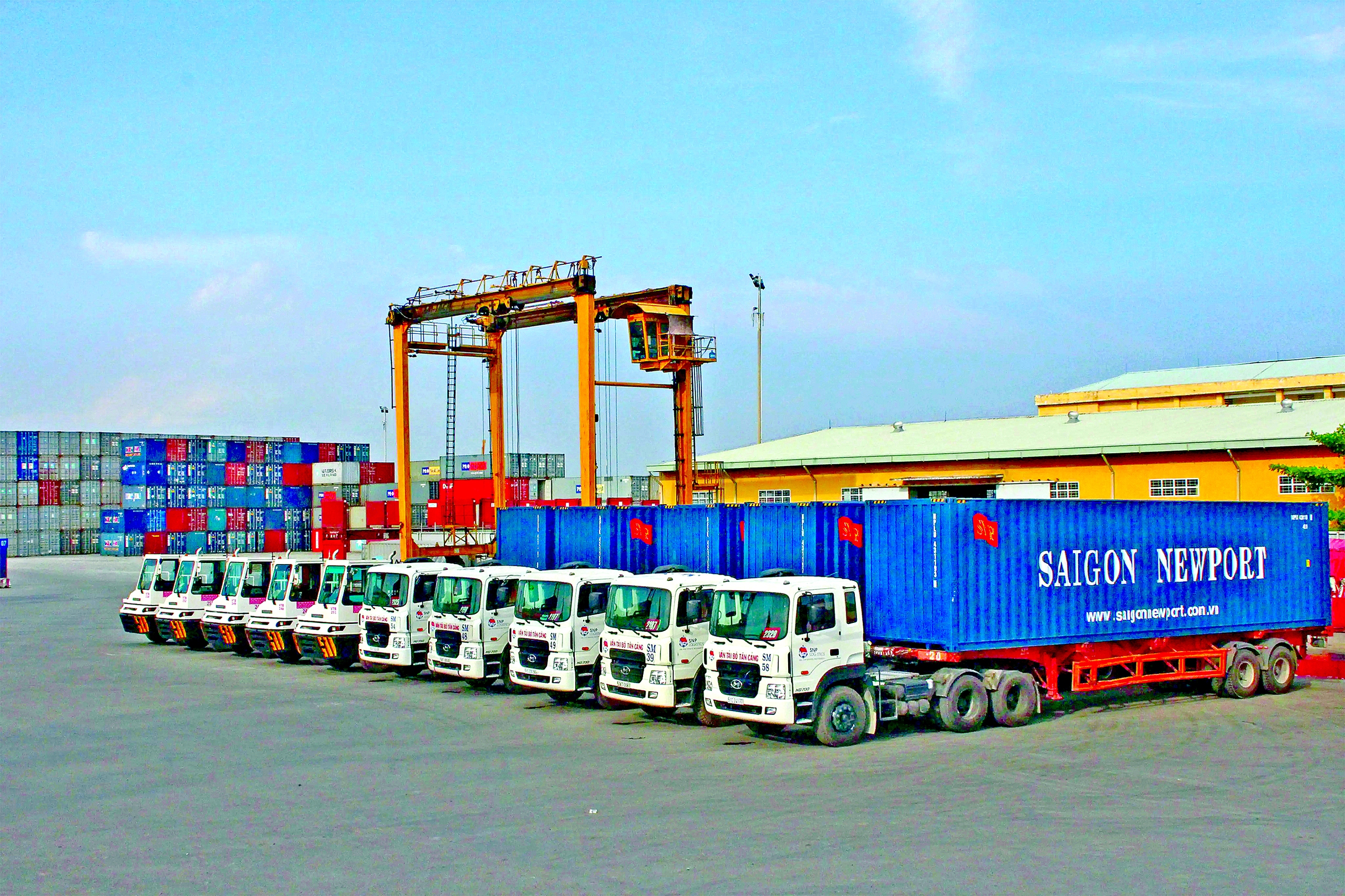 Hiệp hội Vận tải H&agrave;ng h&oacute;a TP.HCM: Điểm tựa vững chắc cho doanh nghiệp vận tải- Ảnh 3.