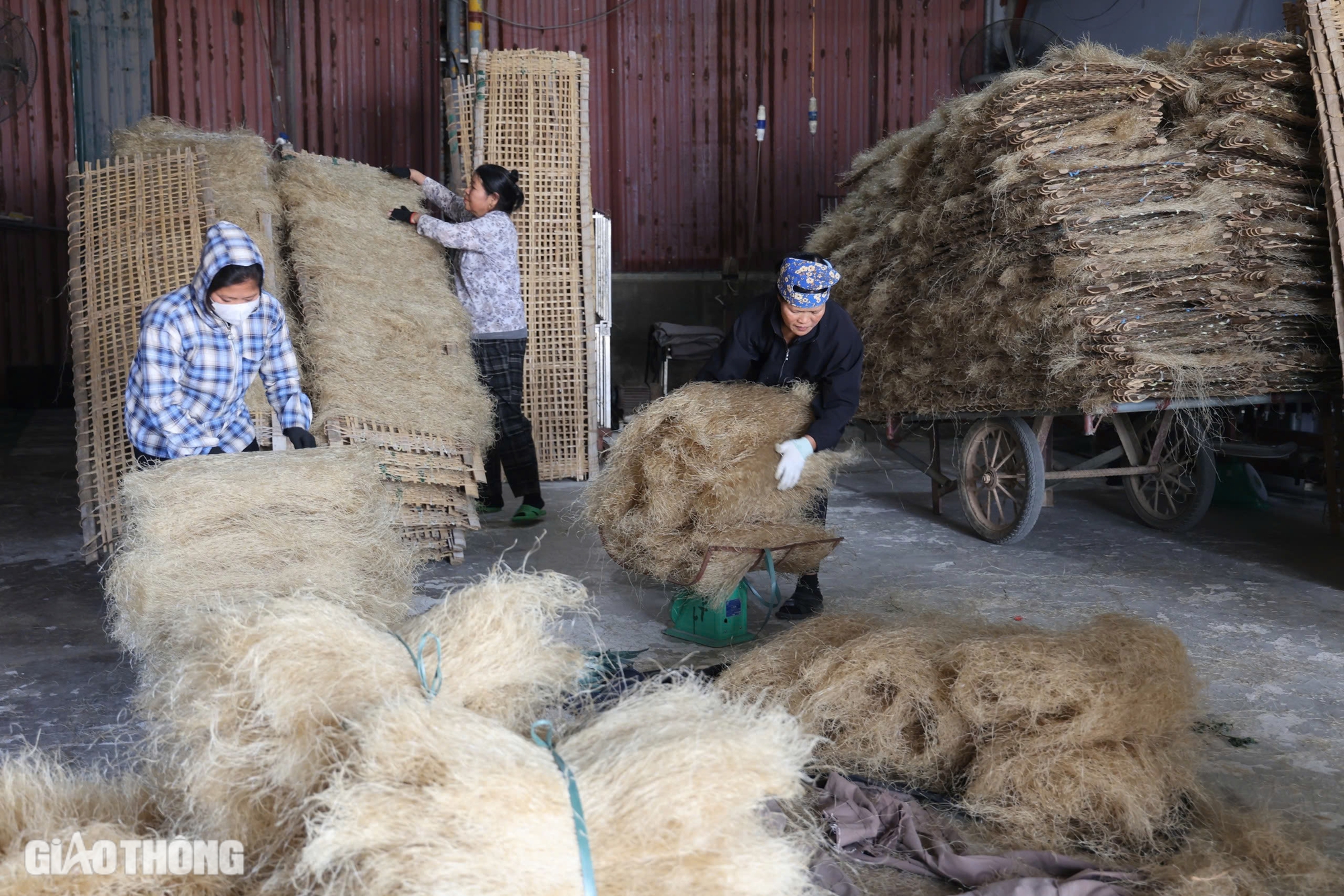 L&agrave;ng l&agrave;m miến dong lớn nhất ở H&agrave; Nội tất bật v&agrave;o vụ Tết- Ảnh 10.