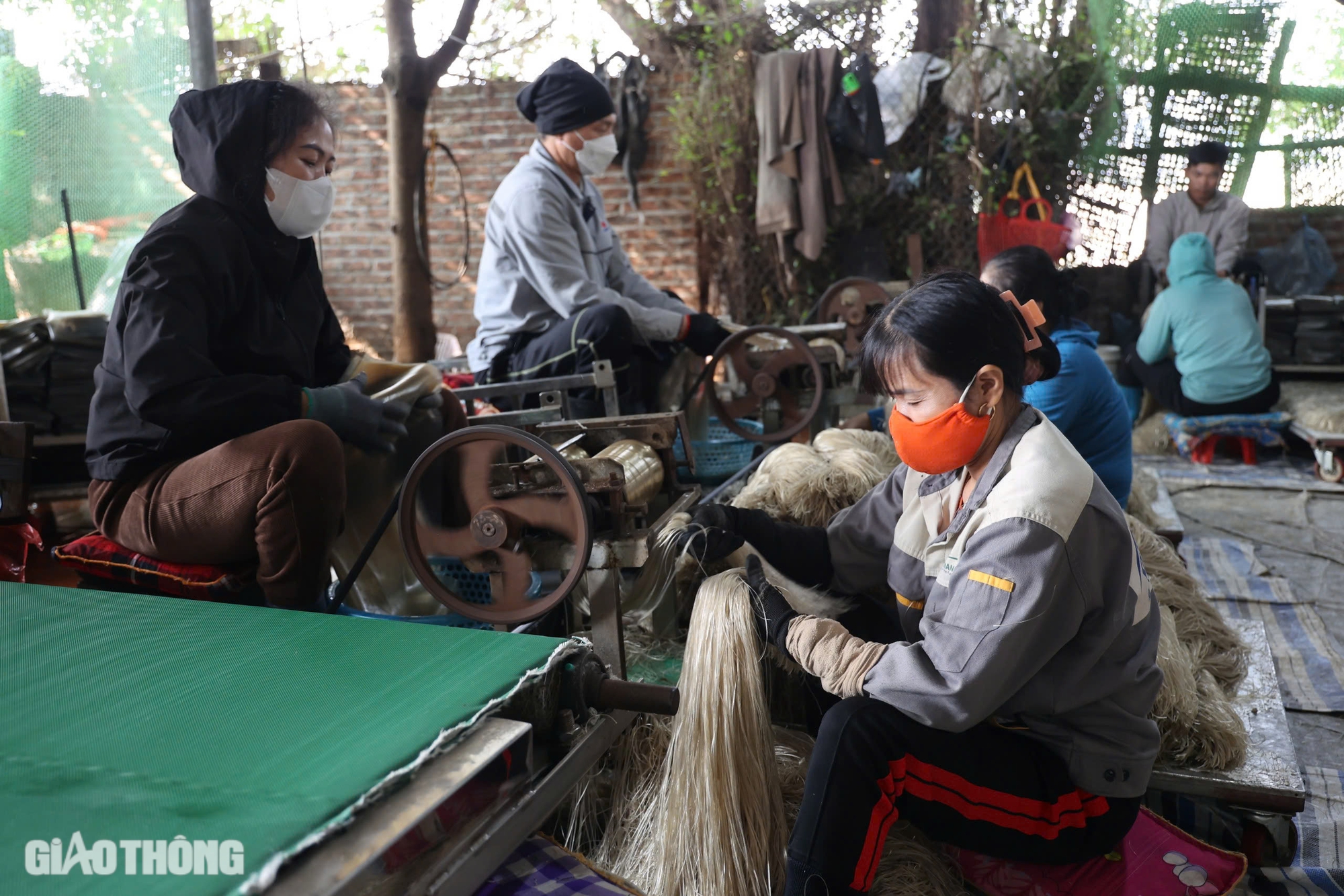 L&agrave;ng l&agrave;m miến dong lớn nhất ở H&agrave; Nội tất bật v&agrave;o vụ Tết- Ảnh 6.