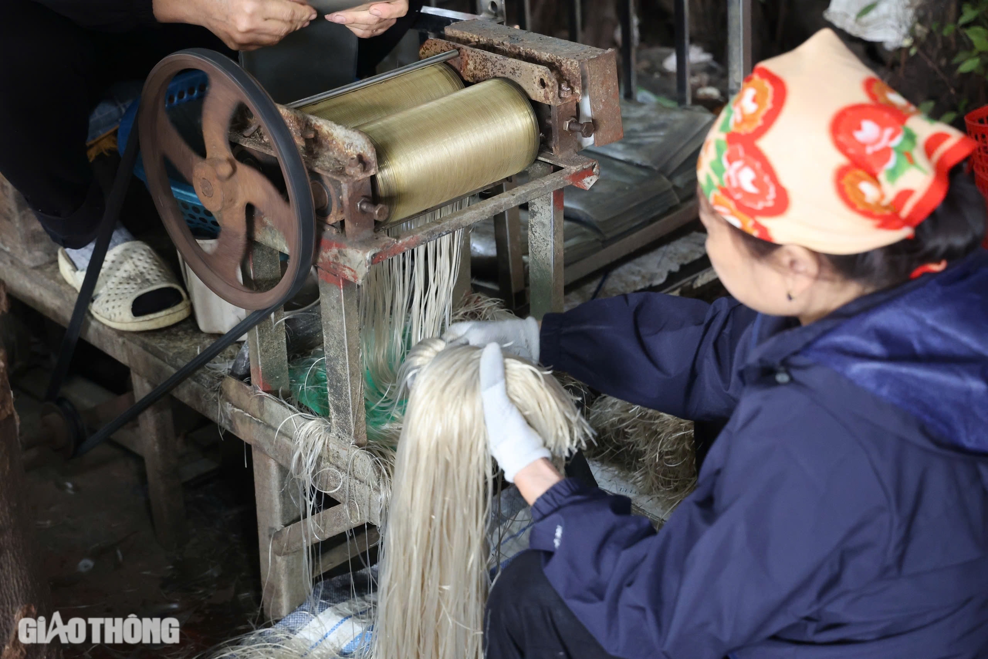 L&agrave;ng l&agrave;m miến dong lớn nhất ở H&agrave; Nội tất bật v&agrave;o vụ Tết- Ảnh 8.