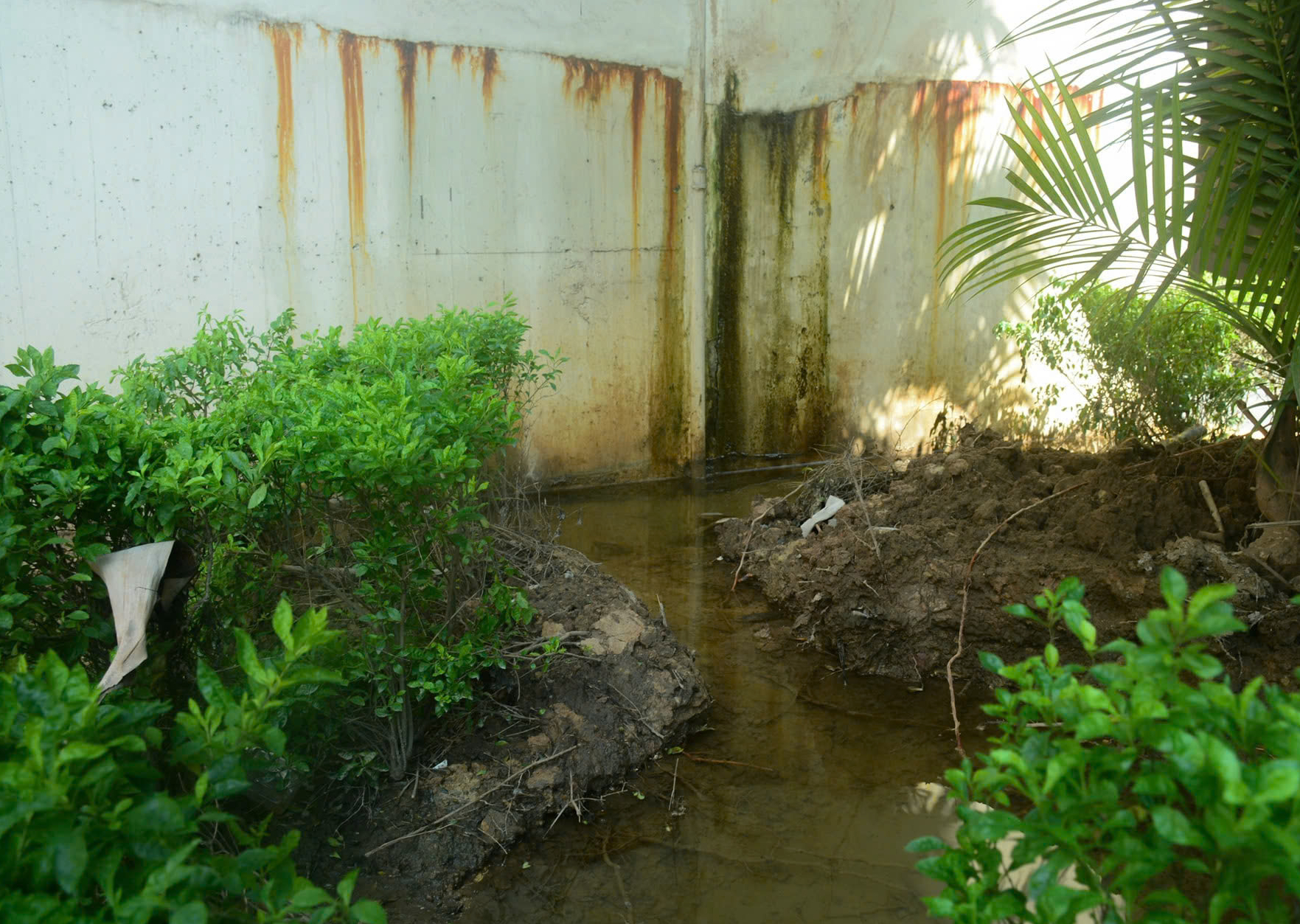 H&agrave; Nội: Sớm khắc phục t&igrave;nh trạng ngấm nước tại hầm chui Thanh Xu&acirc;n- Ảnh 1.