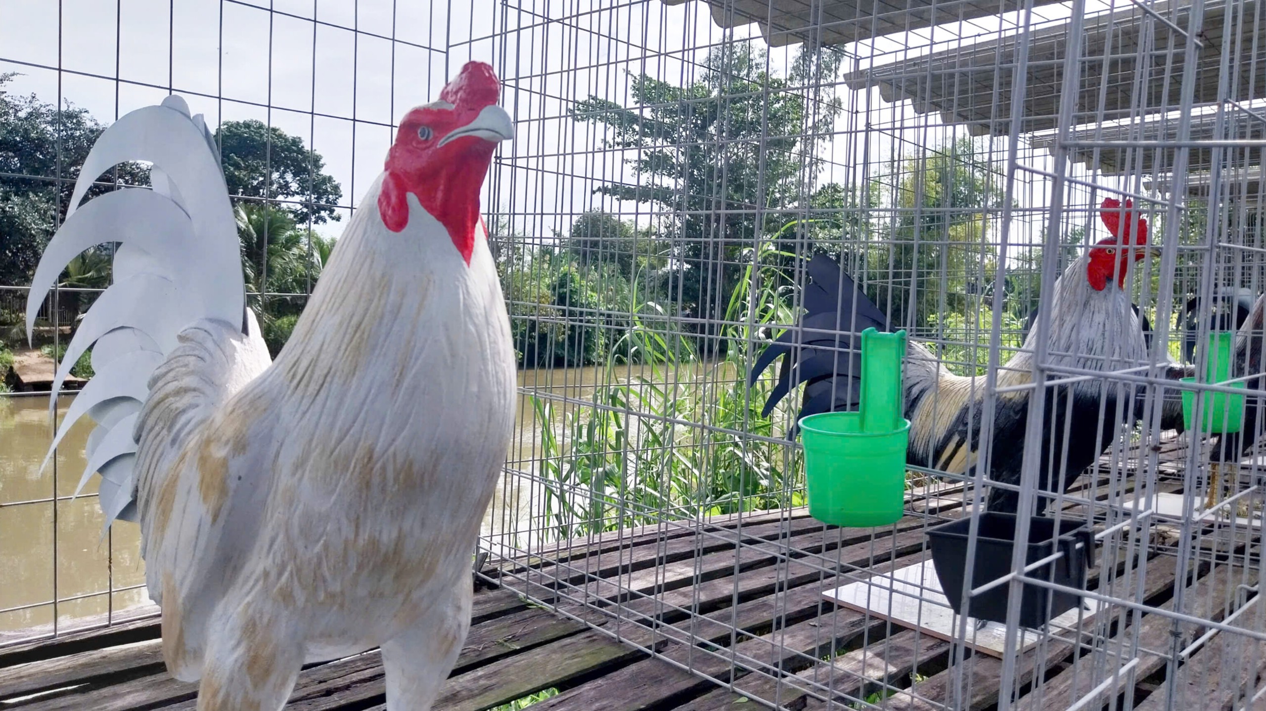 Ch&agrave;ng trai An Giang thu nhập v&agrave;i chục triệu mỗi th&aacute;ng nhờ đ&uacute;c tượng g&agrave; vịt từ xi măng- Ảnh 2.