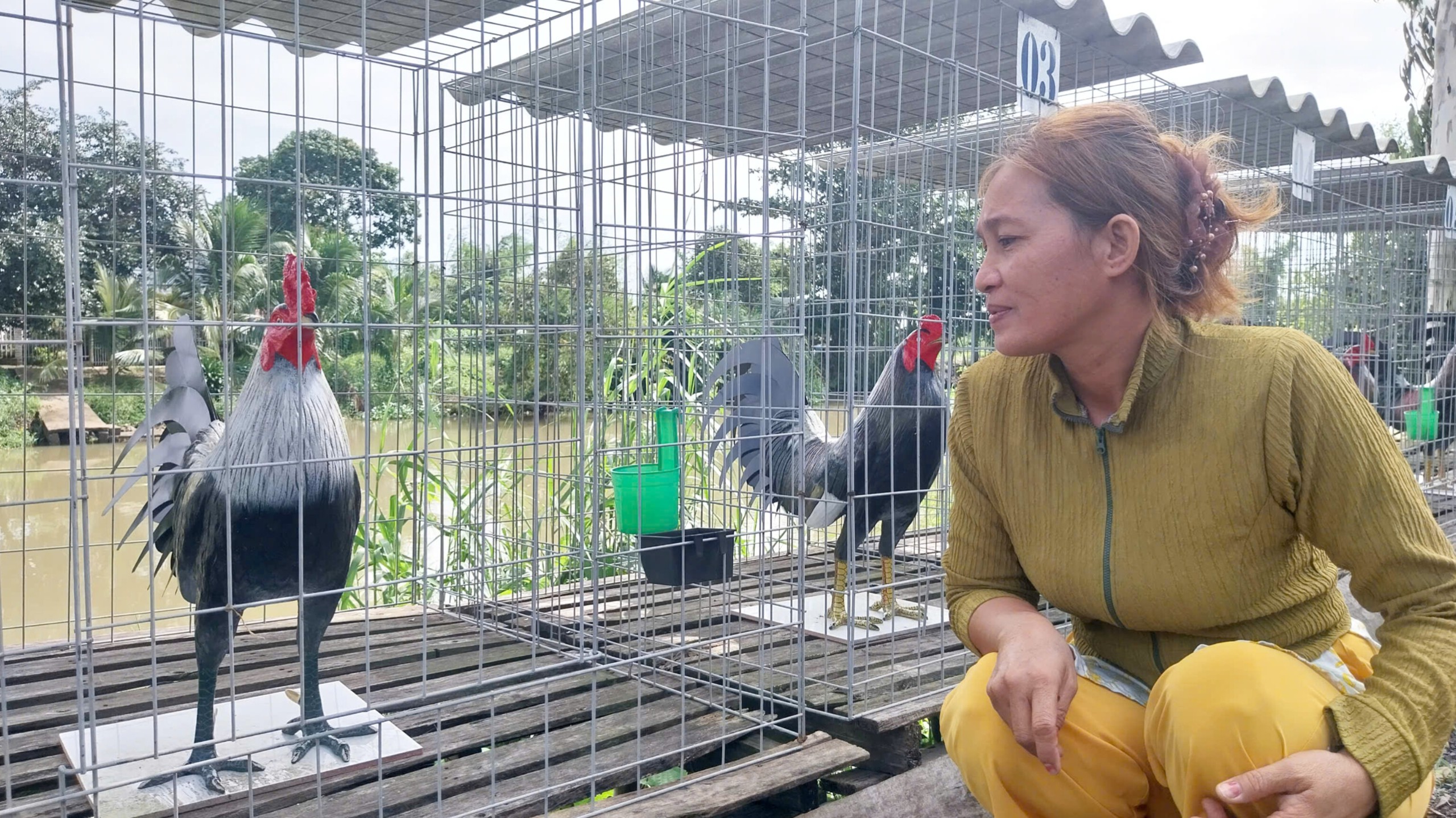Ch&agrave;ng trai An Giang thu nhập v&agrave;i chục triệu mỗi th&aacute;ng nhờ đ&uacute;c tượng g&agrave; vịt từ xi măng- Ảnh 3.