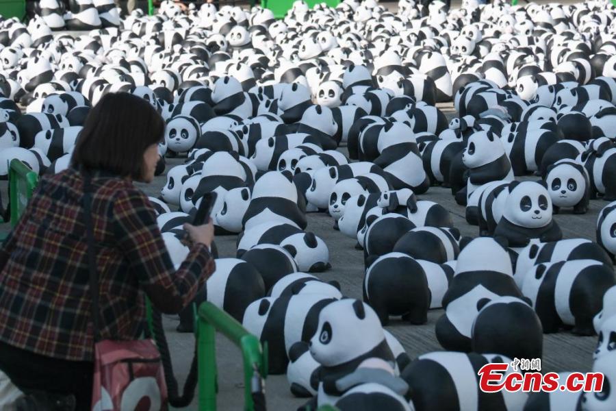 S&acirc;n bay Hong Kong (Trung Quốc) đặt h&agrave;ng ngh&igrave;n tượng gấu tr&uacute;c ch&agrave;o đ&oacute;n du kh&aacute;ch- Ảnh 5.