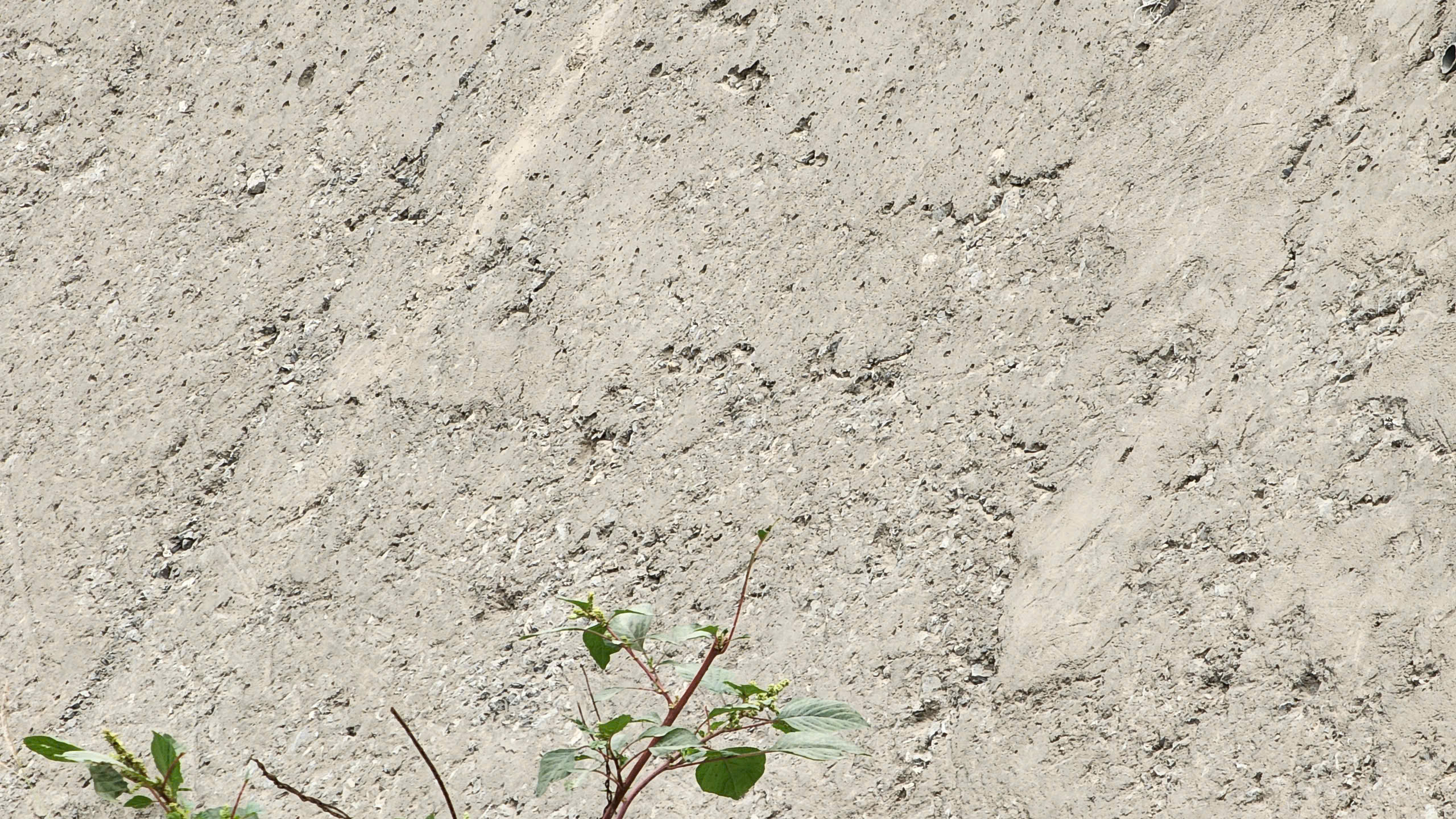 Dân khổ vì dự án nghìn tỷ thi công kiểu đối phó giữa Thủ đô- Ảnh 24. Dân khổ vì dự án nghìn tỷ thi công kiểu đối phó giữa Thủ đô- Ảnh 24.