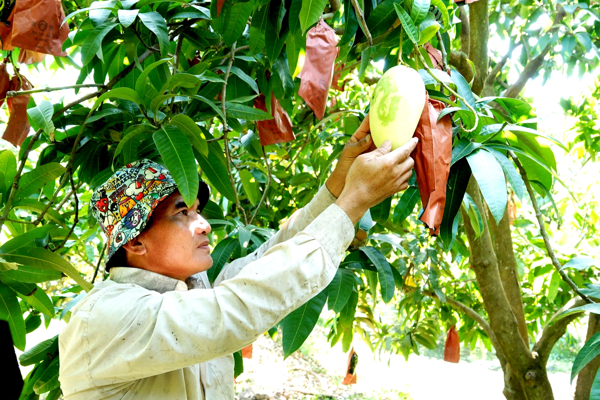 N&ocirc;ng d&acirc;n miền T&acirc;y 