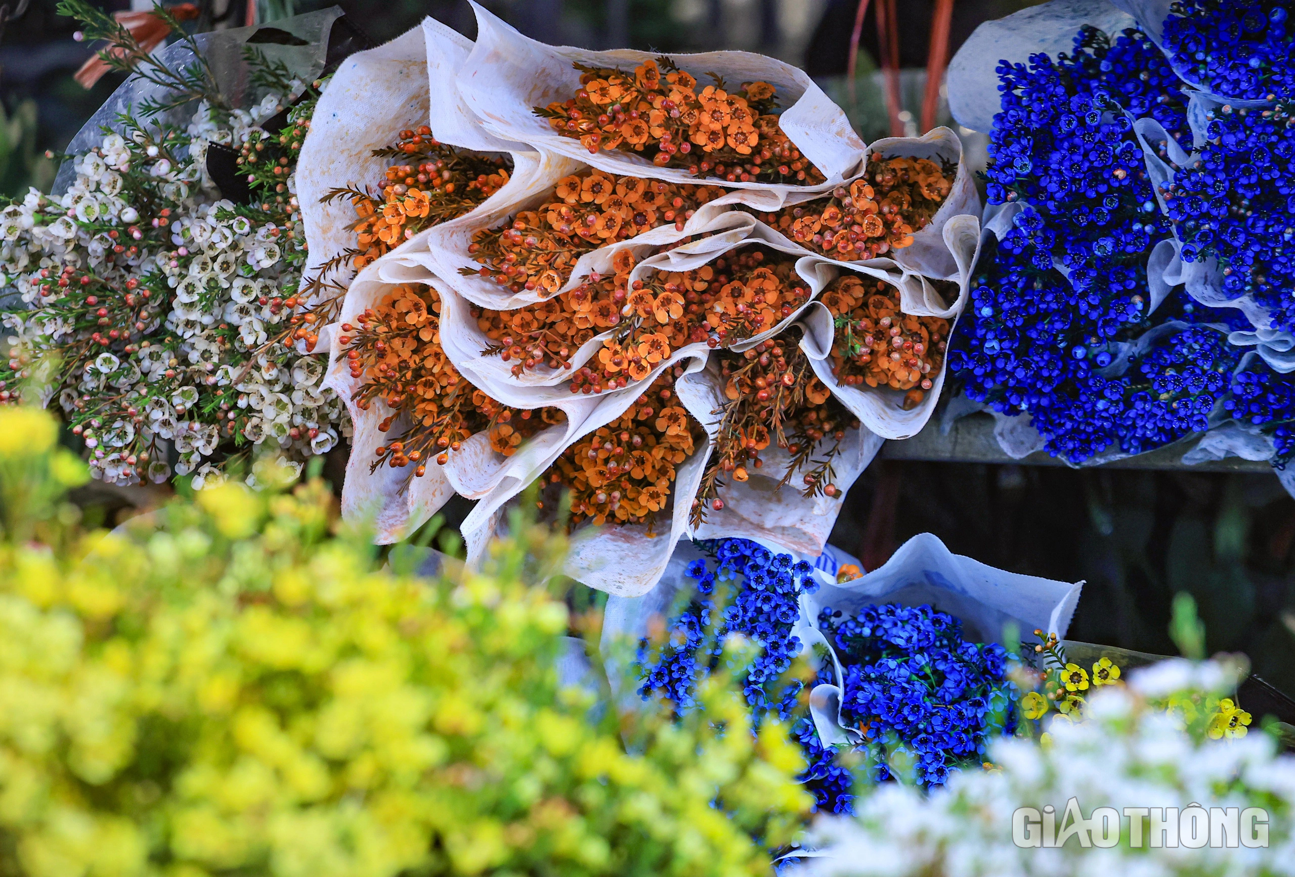 Đ&ecirc;m kh&ocirc;ng ngủ ở chợ hoa Quảng An ng&agrave;y cận Tết- Ảnh 7.