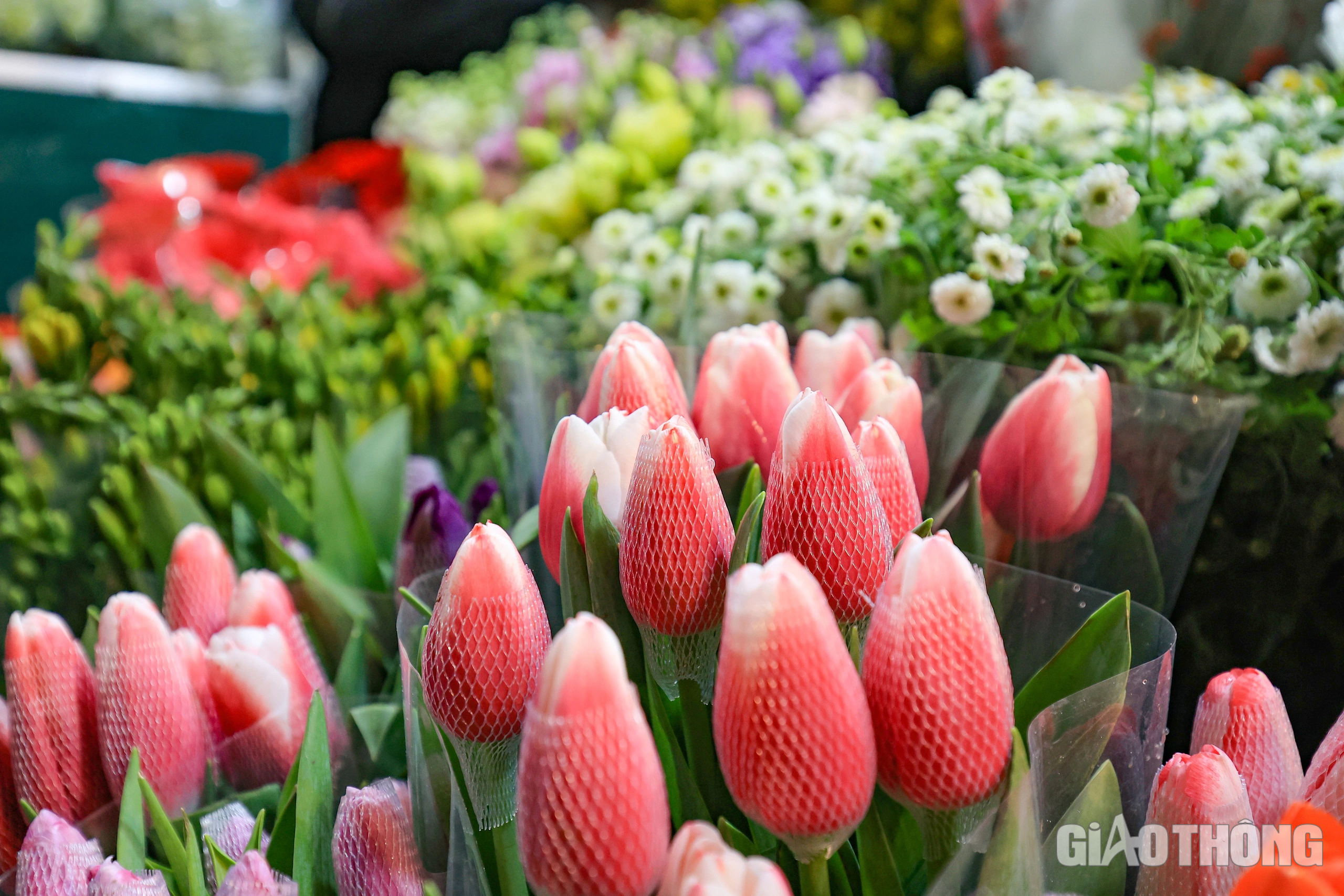 Đ&ecirc;m kh&ocirc;ng ngủ ở chợ hoa Quảng An ng&agrave;y cận Tết- Ảnh 6.