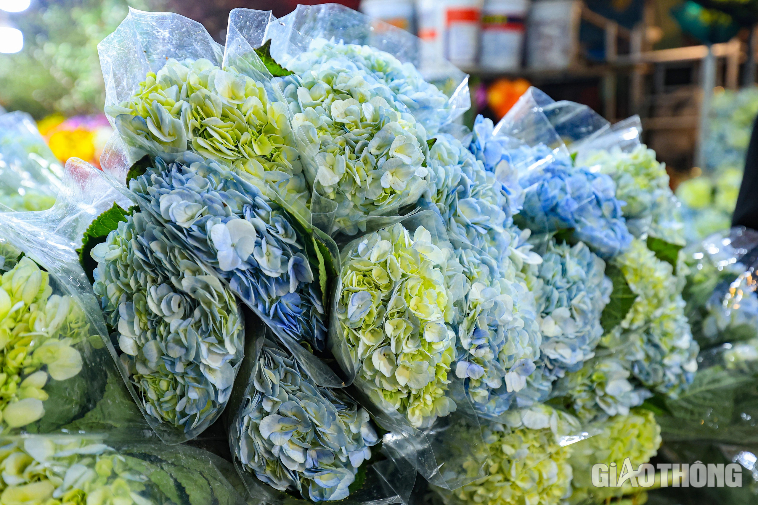 Đ&ecirc;m kh&ocirc;ng ngủ ở chợ hoa Quảng An ng&agrave;y cận Tết- Ảnh 8.