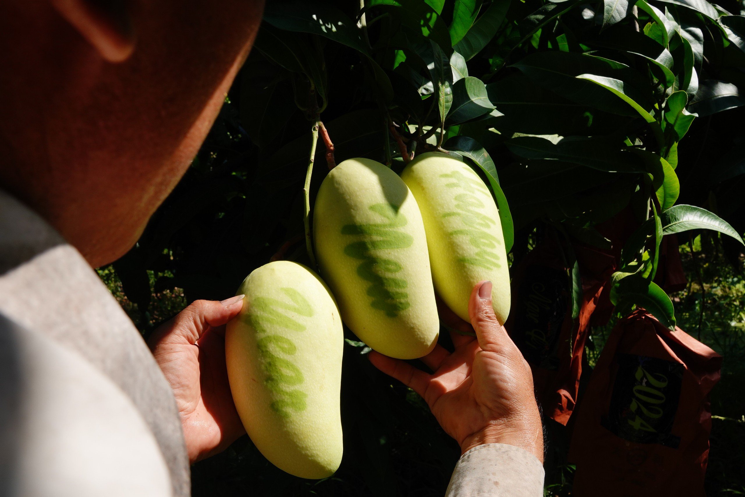 N&ocirc;ng d&acirc;n miền T&acirc;y 