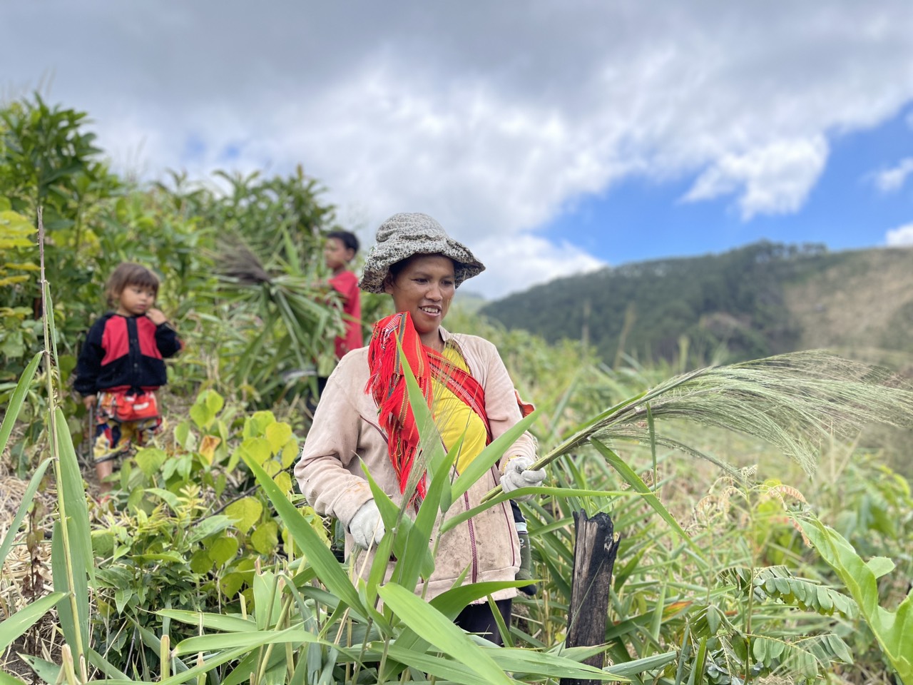 M&ugrave;a h&aacute;i 