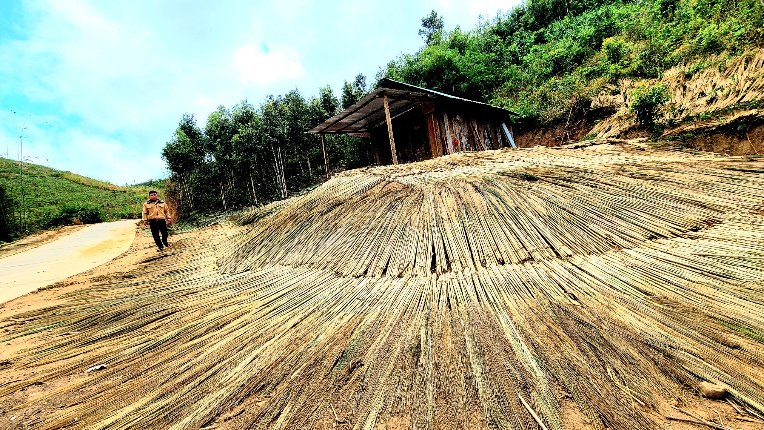 M&ugrave;a h&aacute;i 